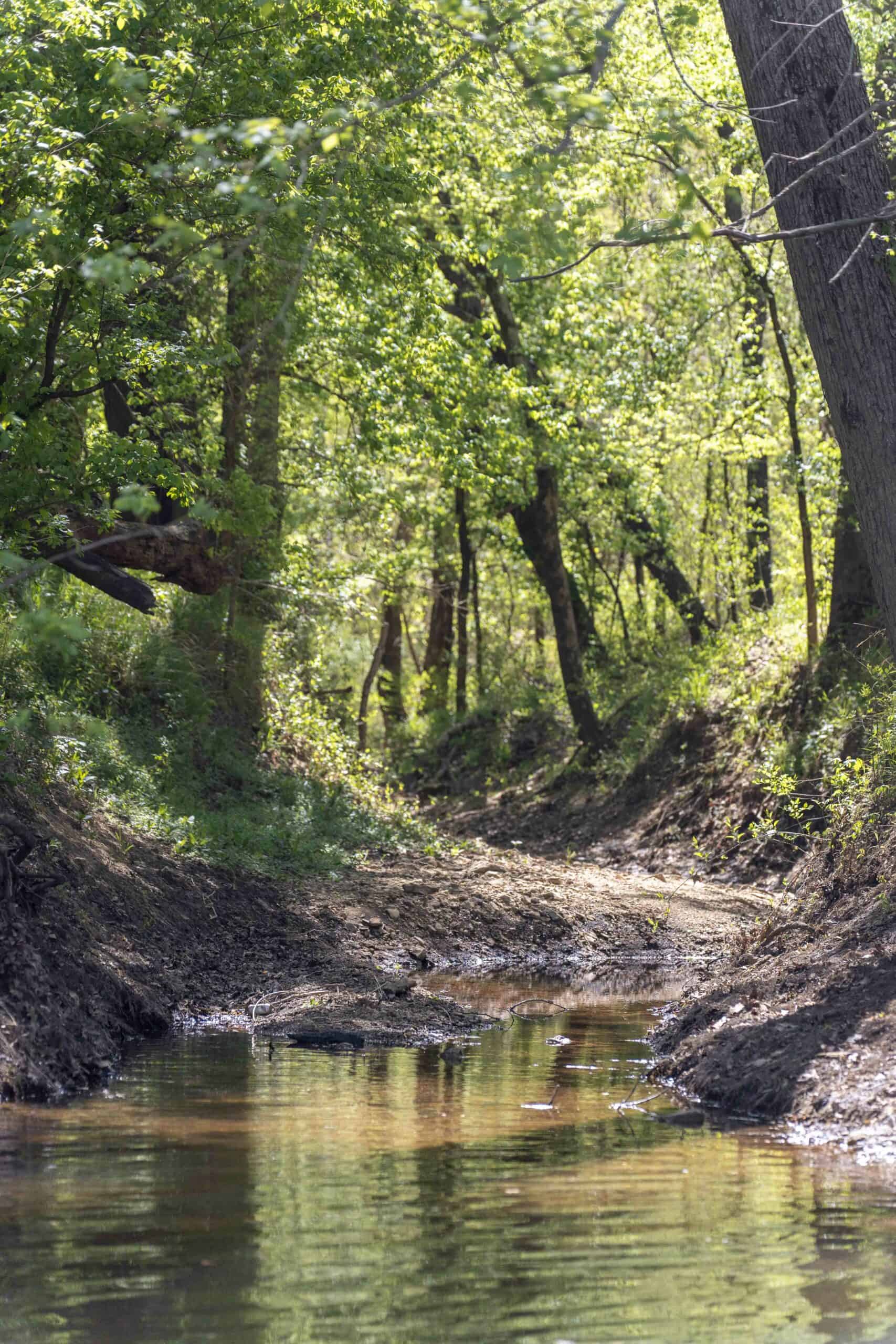 Recreational Land for Sale in Maries County, MO