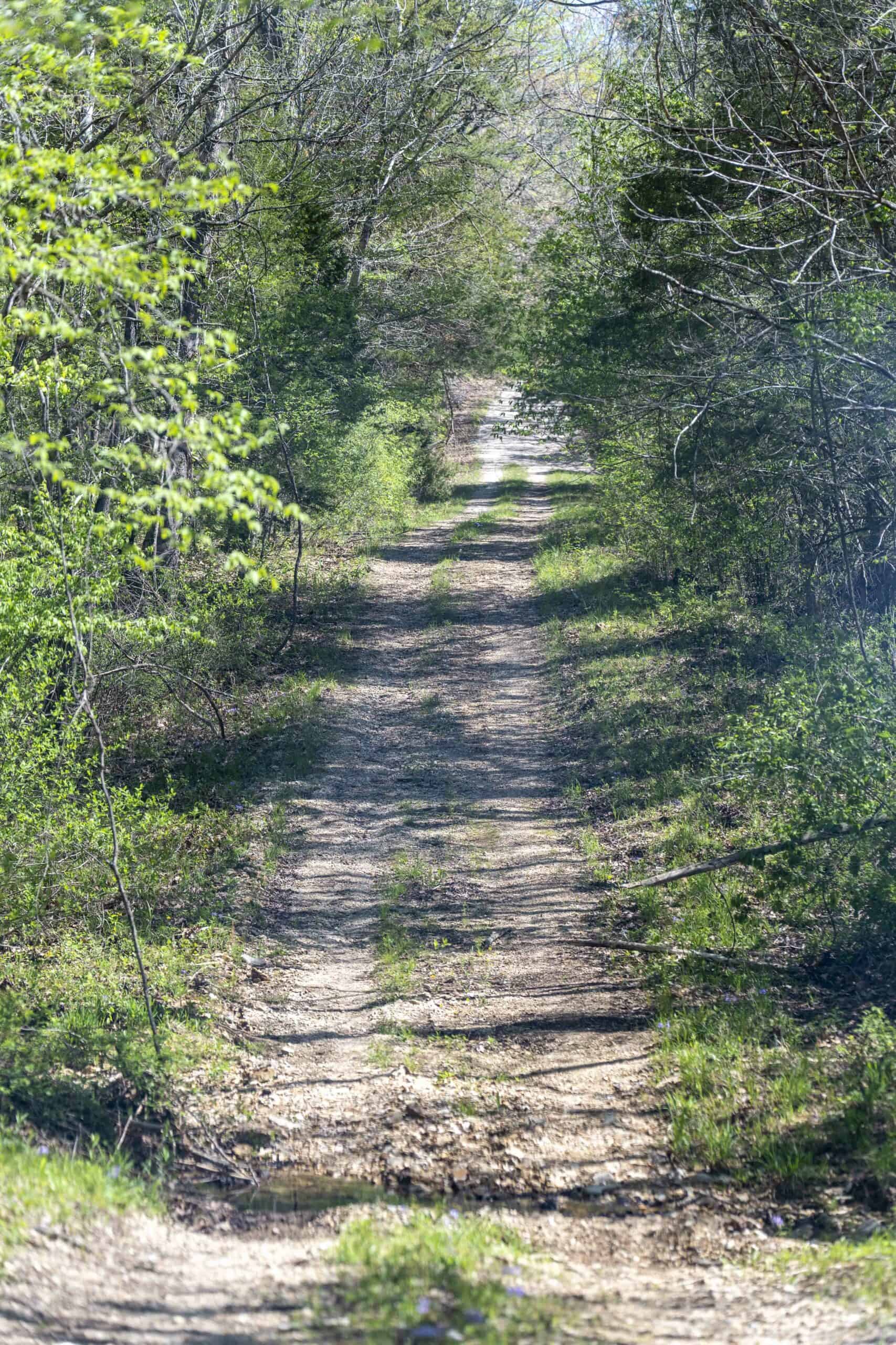 Recreational Land for Sale in Maries County, MO