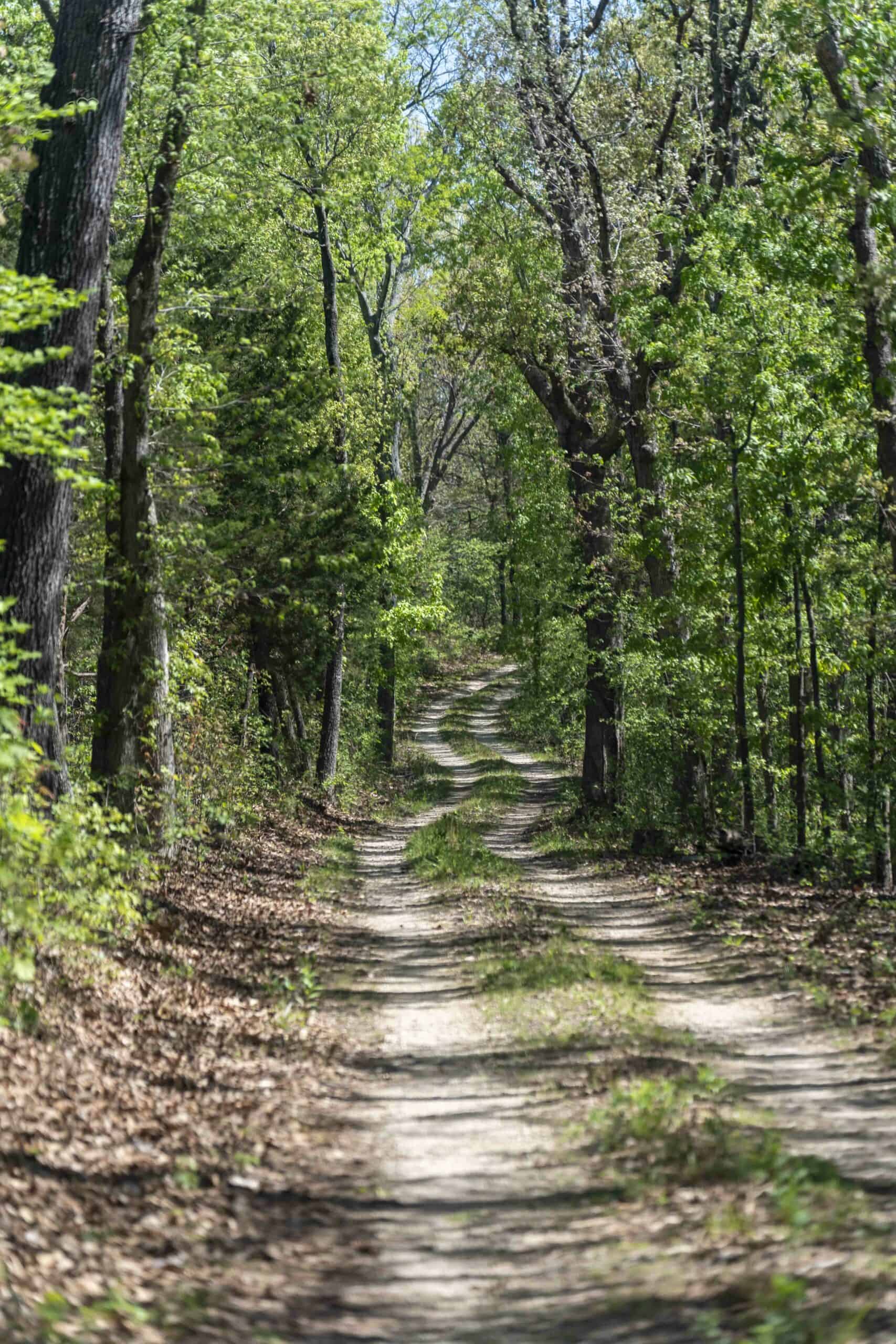 Recreational Land for Sale in Maries County, MO