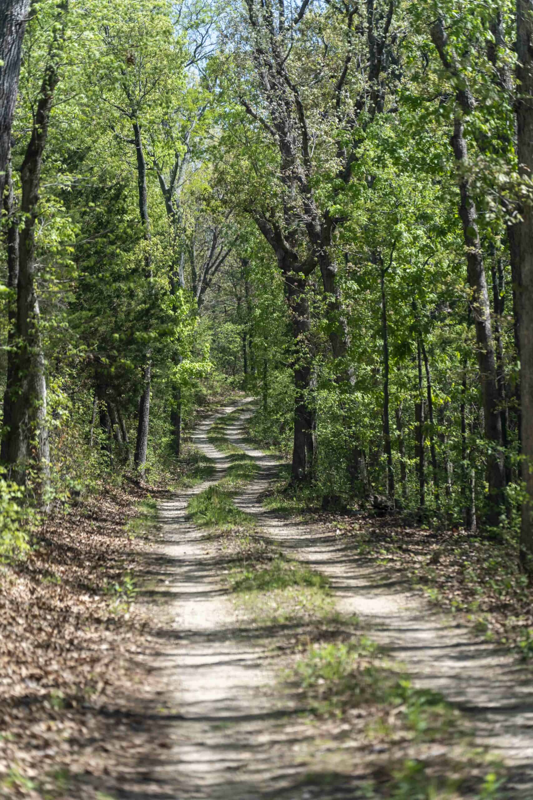 Recreational Land for Sale in Maries County, MO