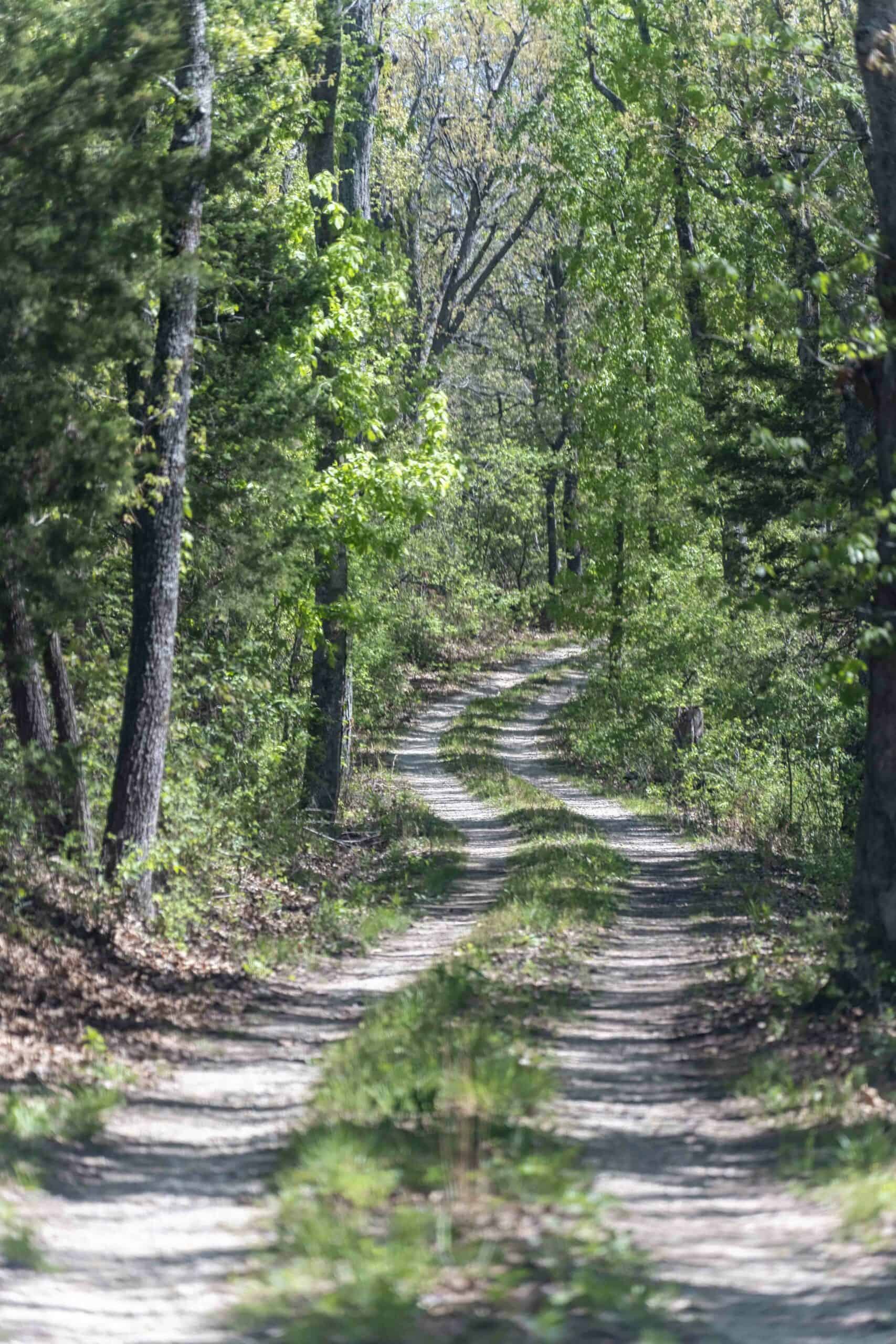 Recreational Land for Sale in Maries County, MO
