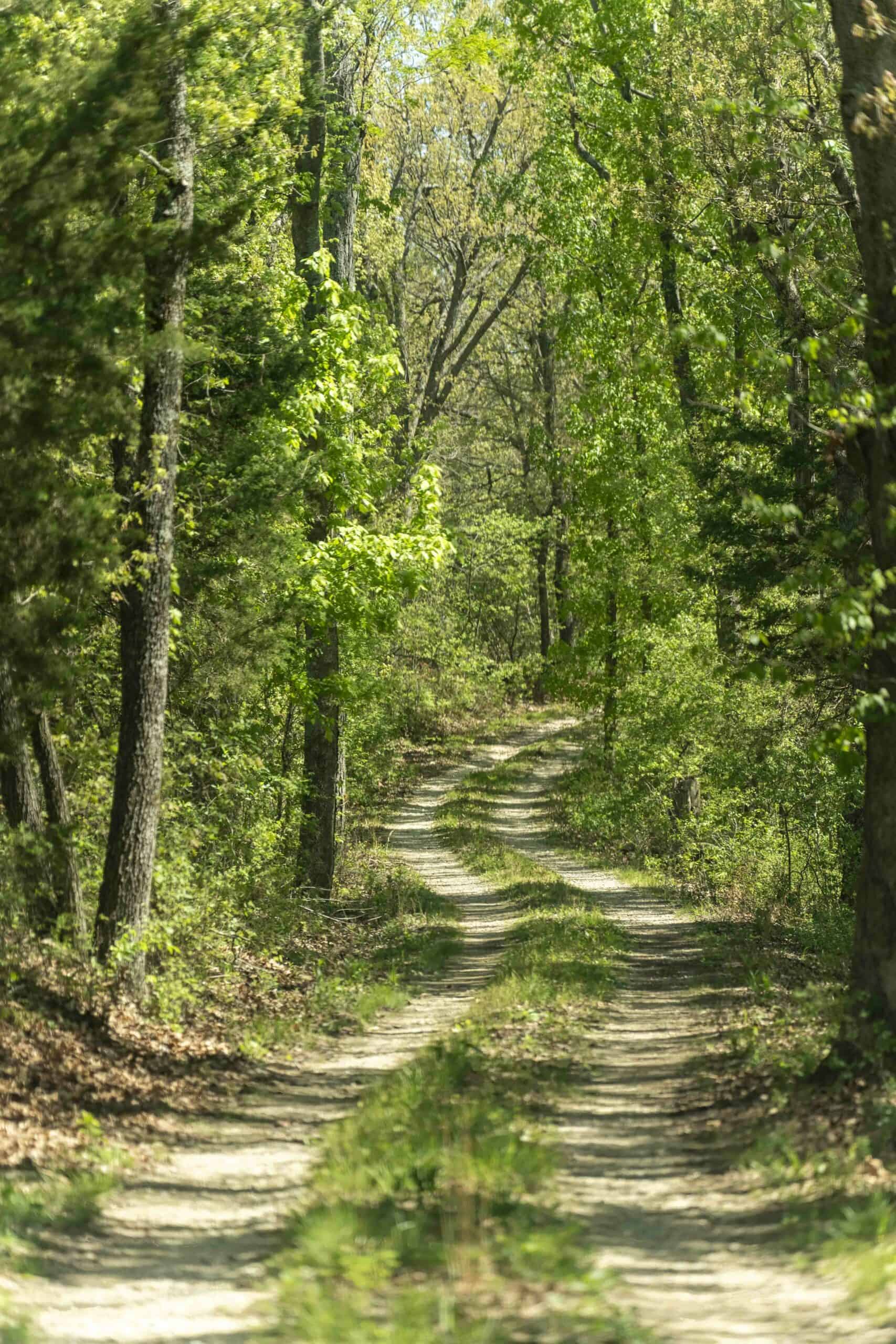 Recreational Land for Sale in Maries County, MO
