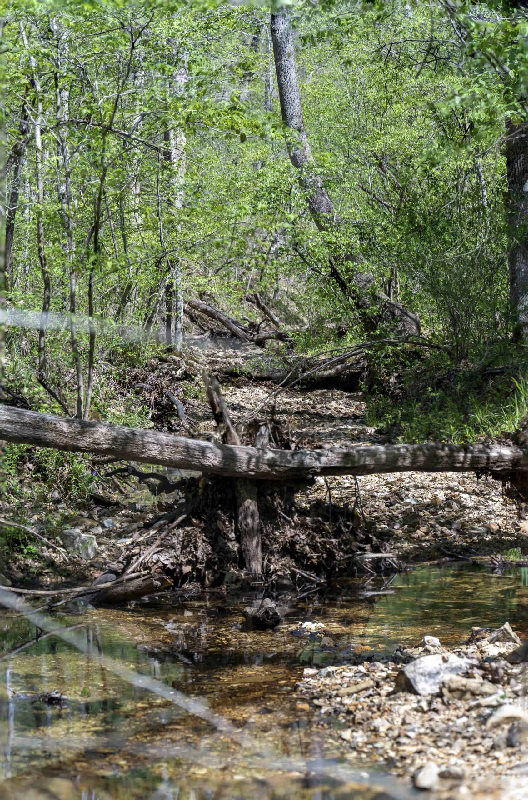 Recreational Land for Sale in Maries County, MO