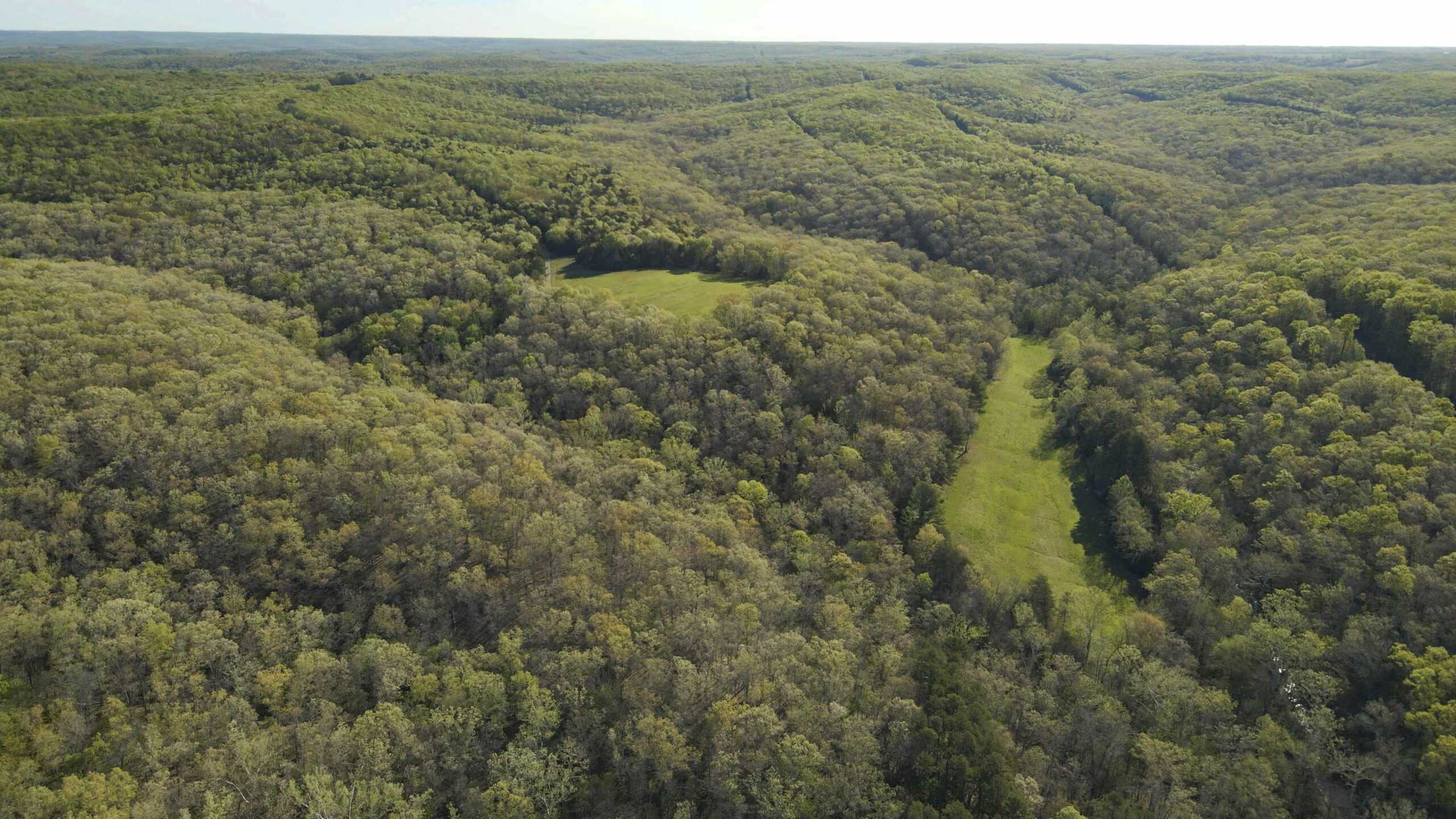 Recreational Land for Sale in Maries County, MO