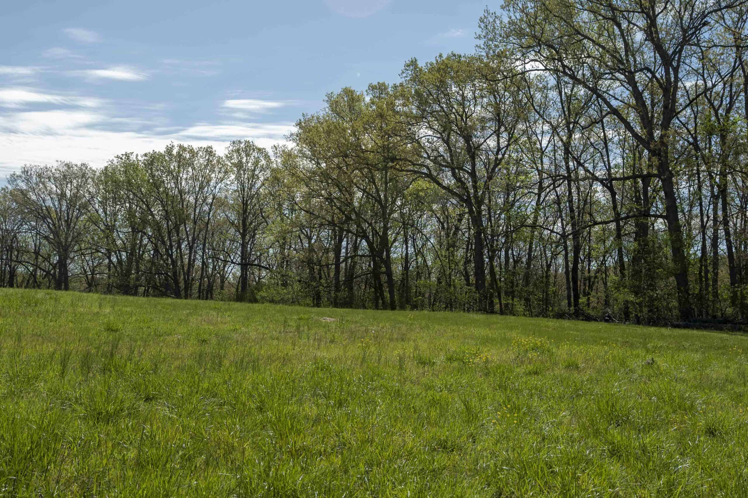 Recreational Land for Sale in Maries County, MO
