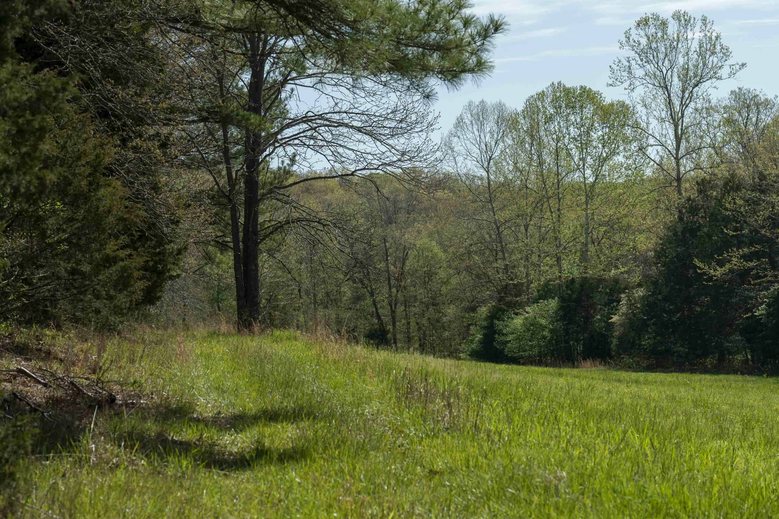 Recreational Land for Sale in Maries County, MO