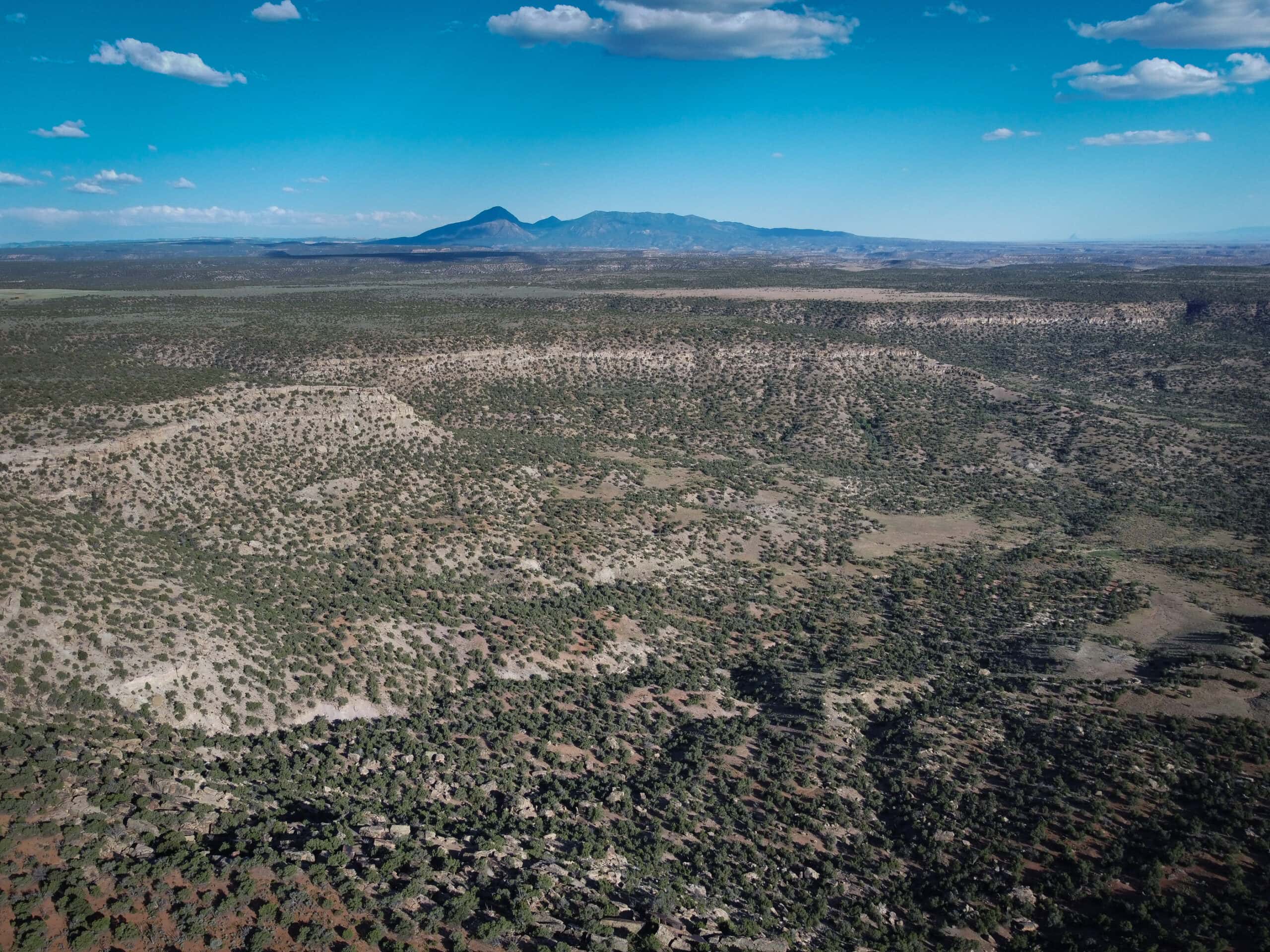 Colorado acreage bordering BLM For Sale