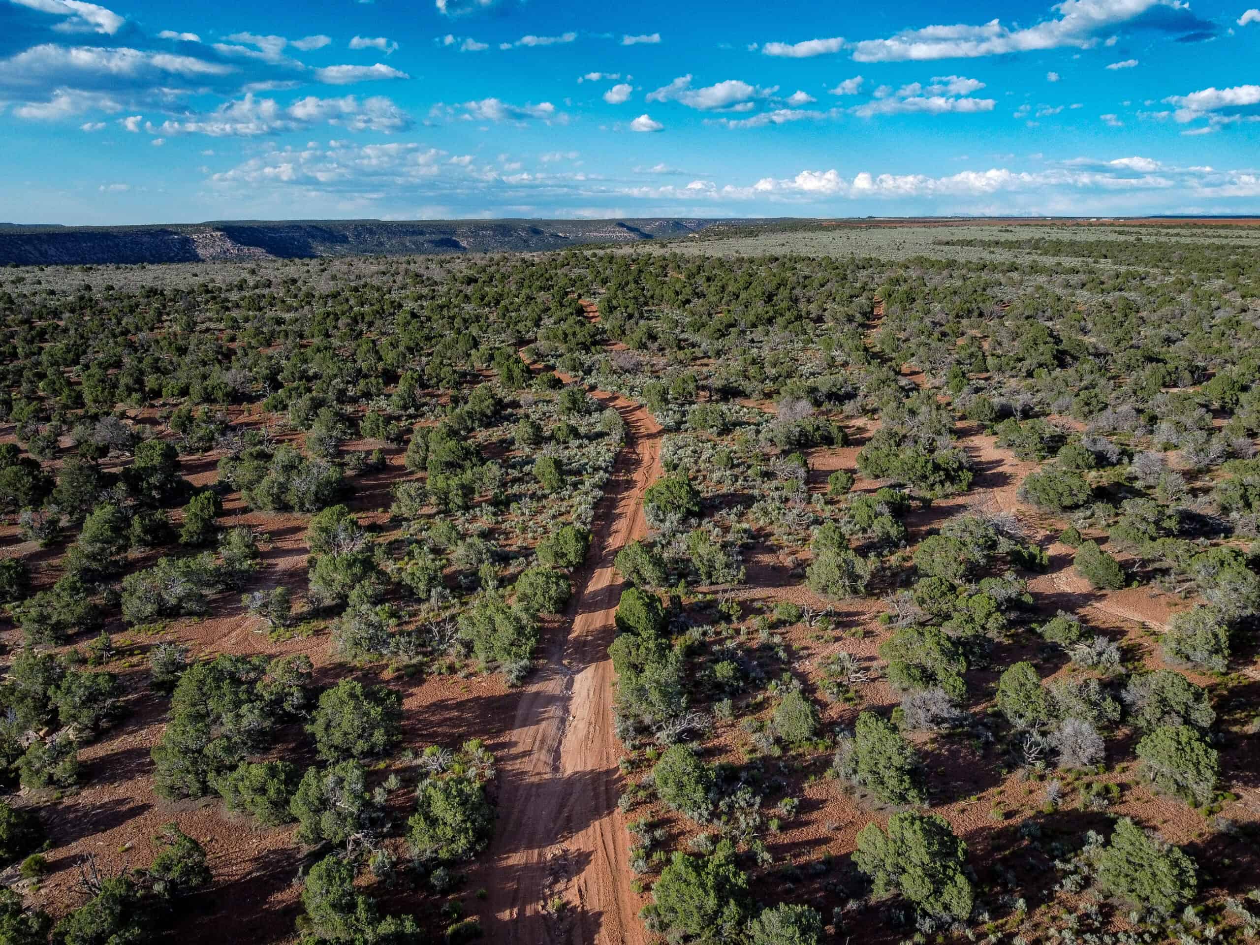 Colorado acreage bordering BLM For Sale
