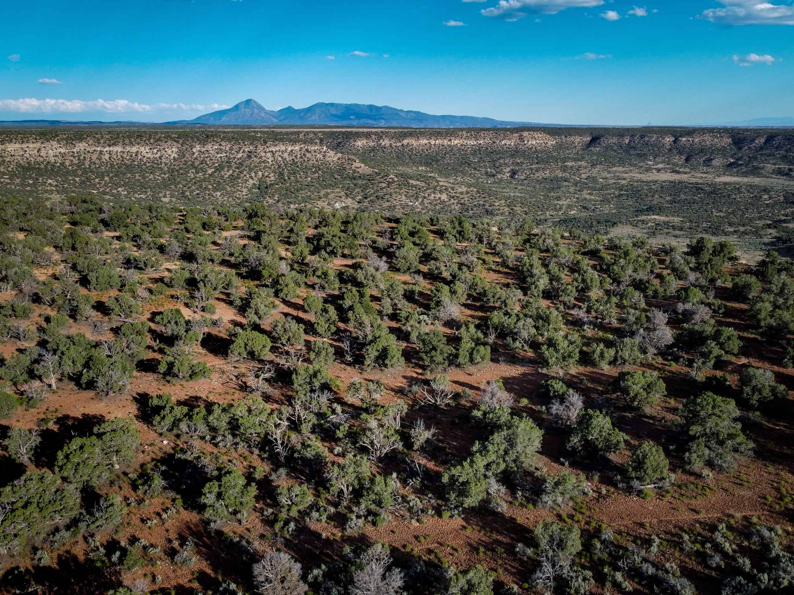 Colorado acreage bordering BLM For Sale