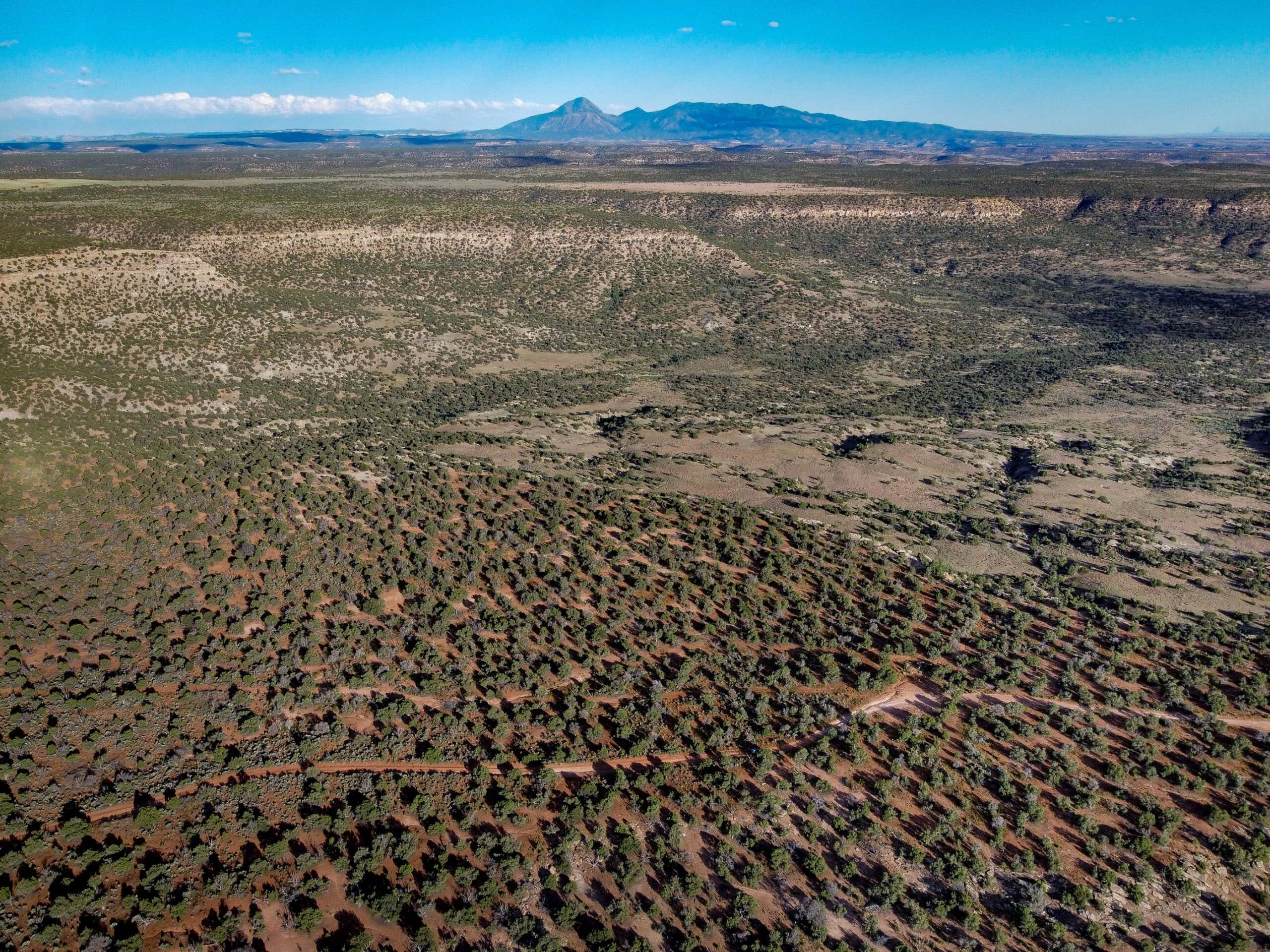 Colorado acreage bordering BLM For Sale