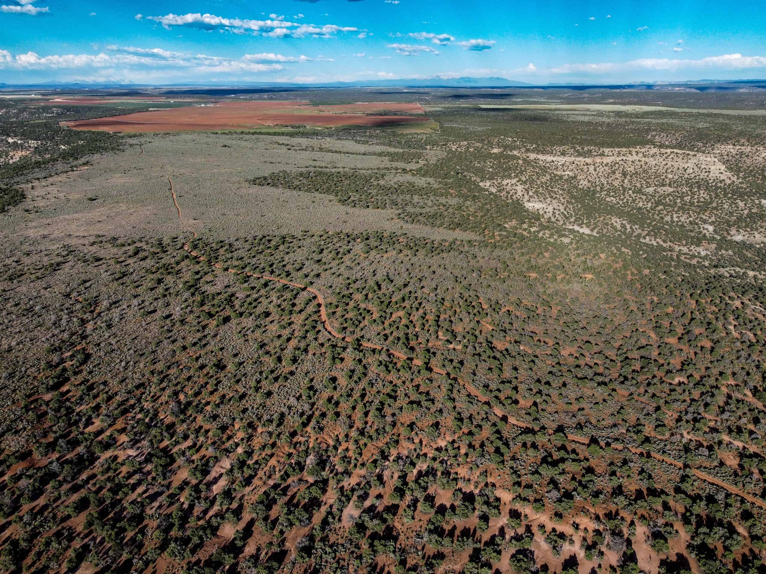 Colorado acreage bordering BLM For Sale