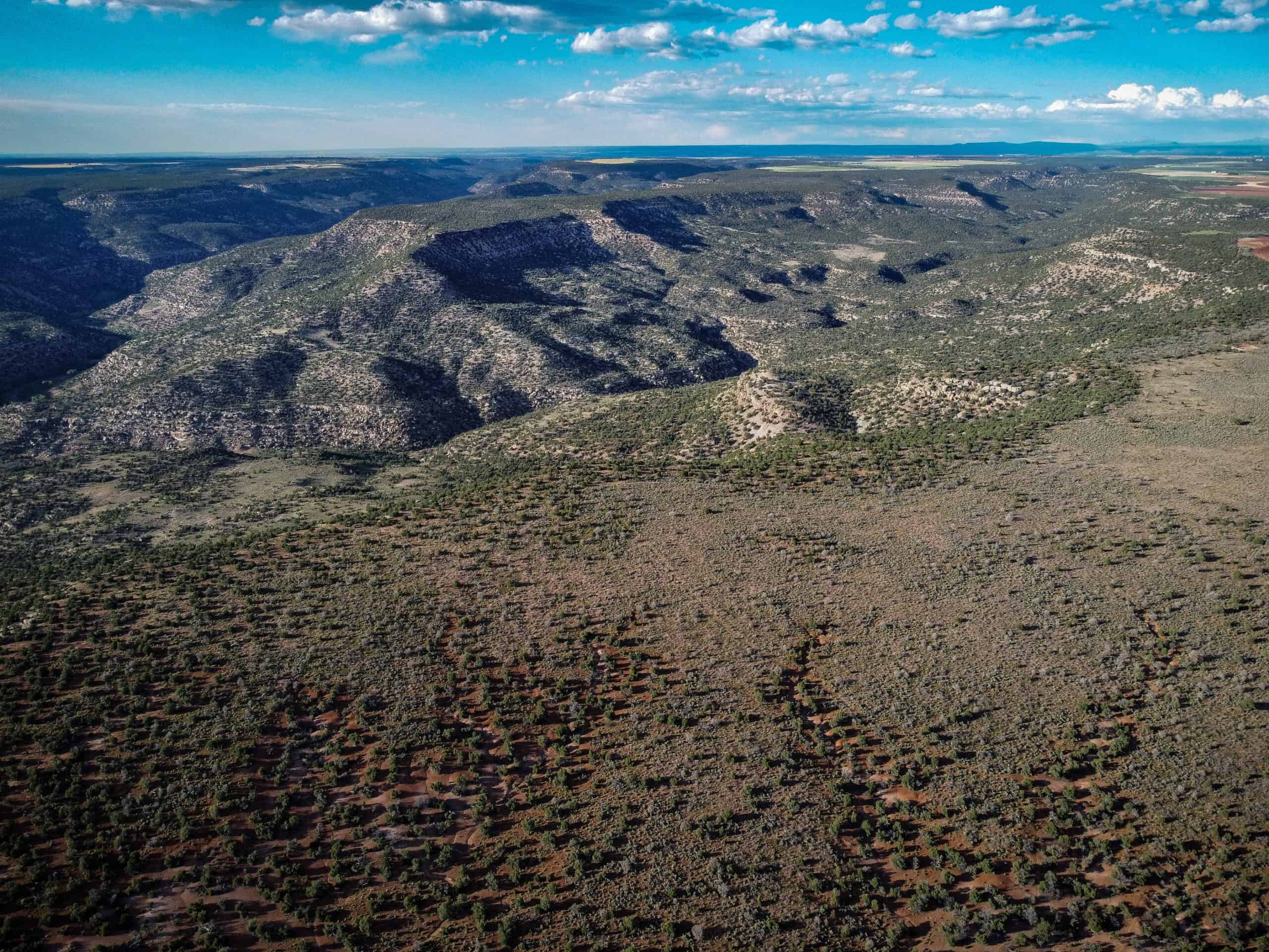 Colorado acreage bordering BLM For Sale