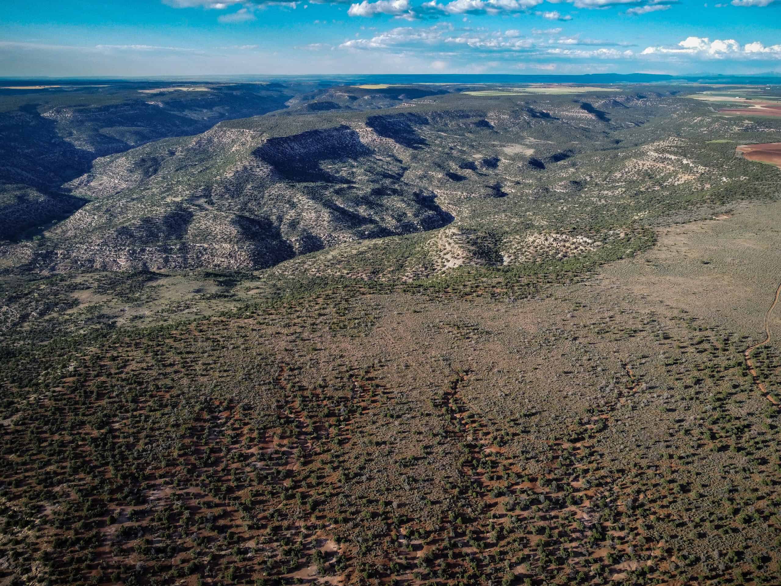 Colorado acreage bordering BLM For Sale