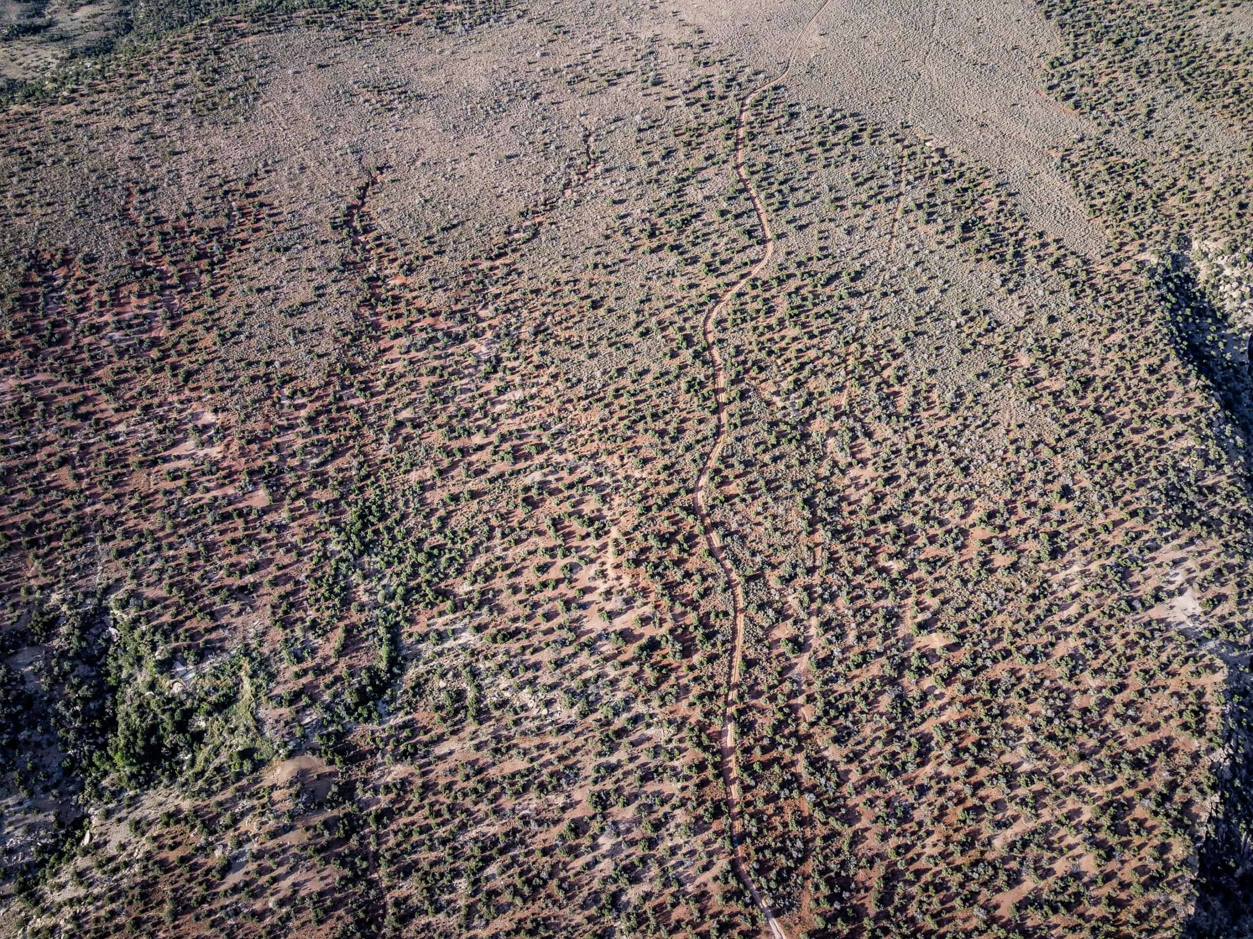 Colorado acreage bordering BLM For Sale