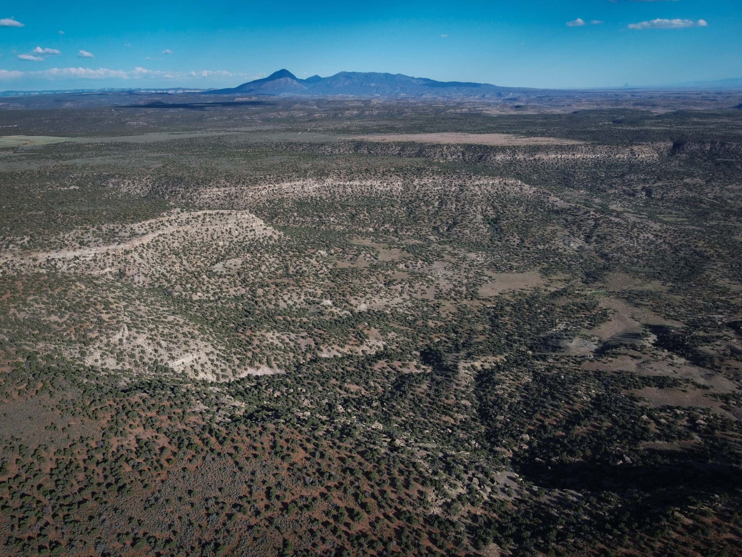 Colorado acreage bordering BLM For Sale