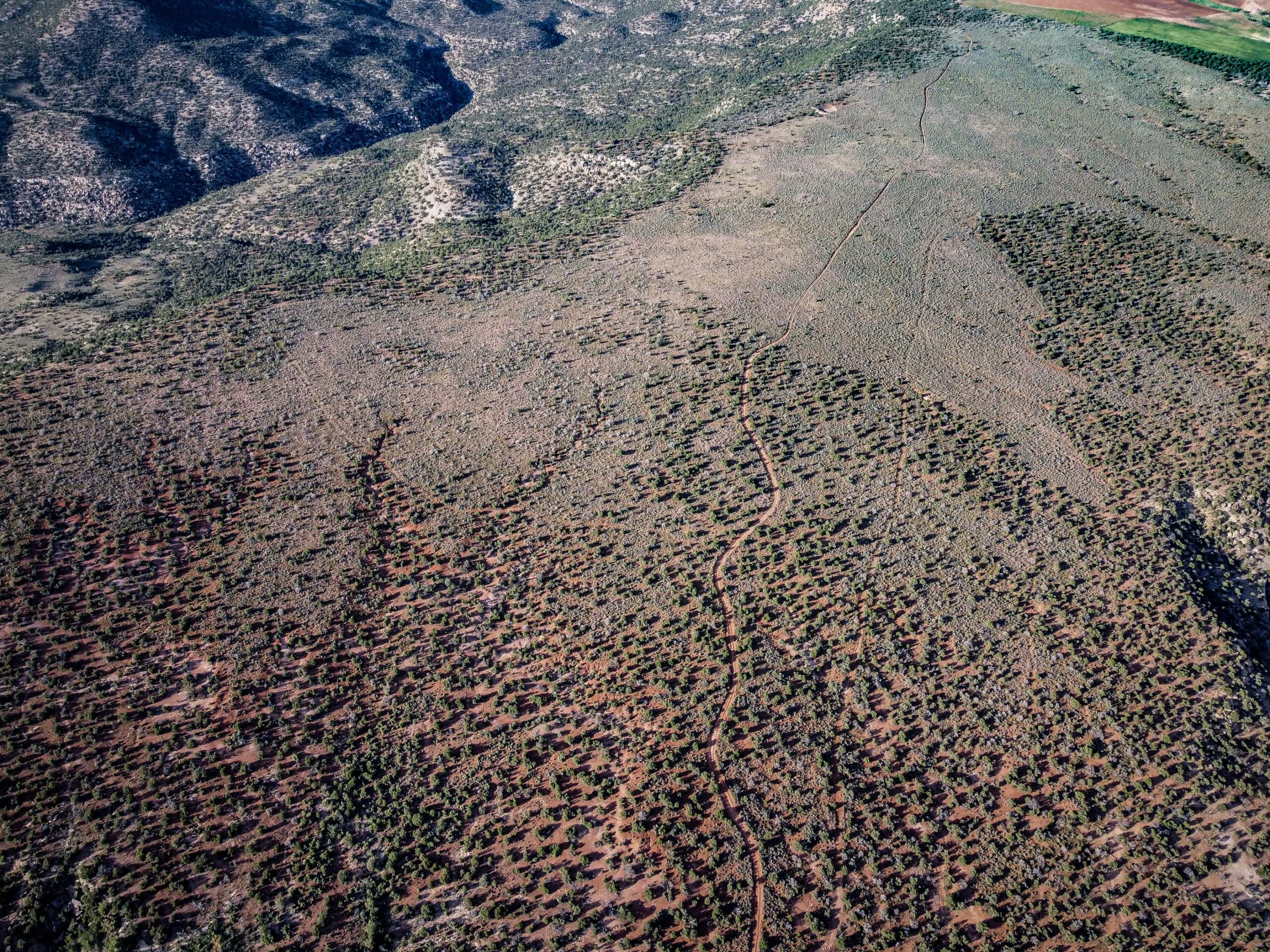 Colorado acreage bordering BLM For Sale