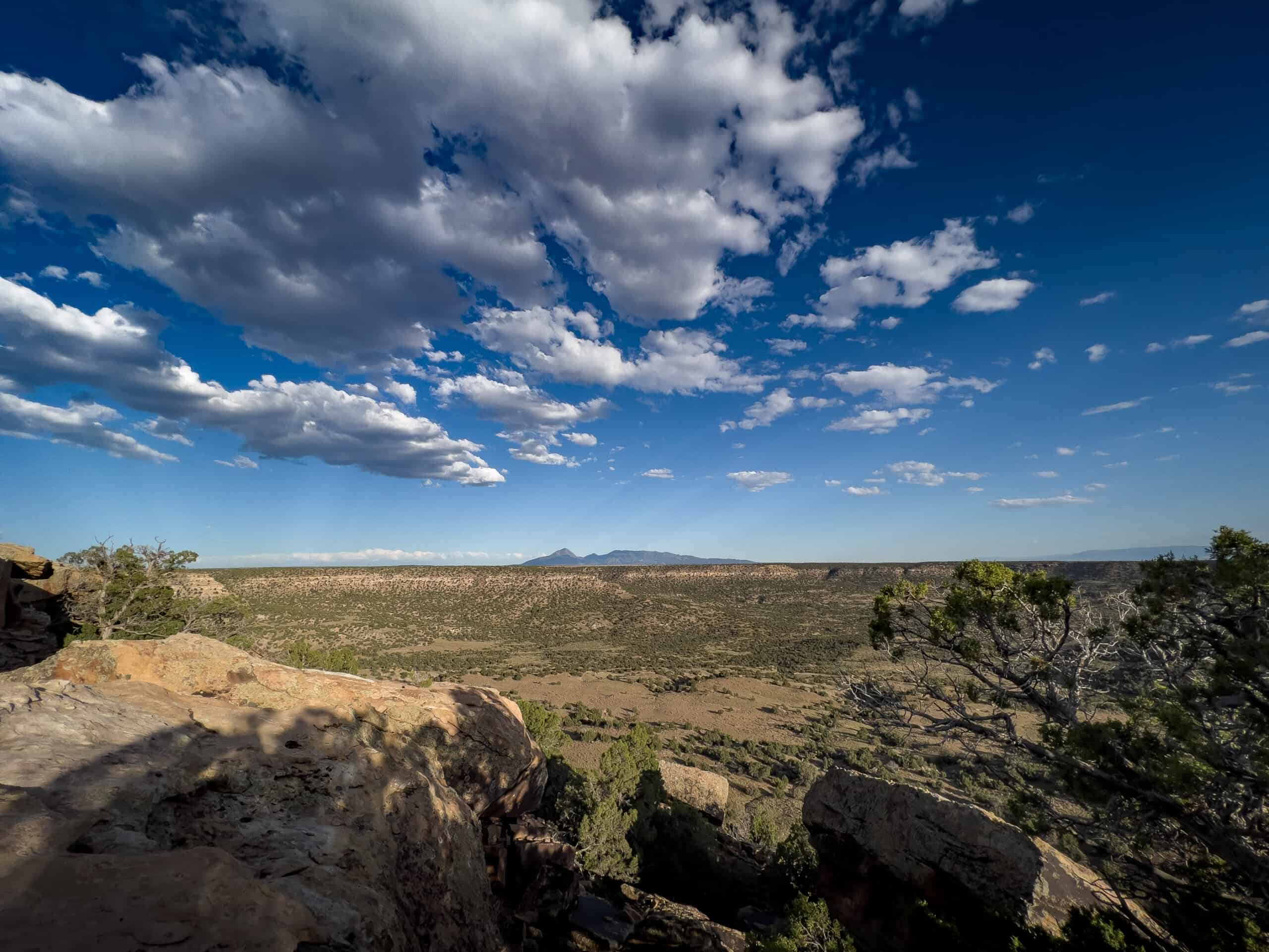Colorado acreage bordering BLM For Sale