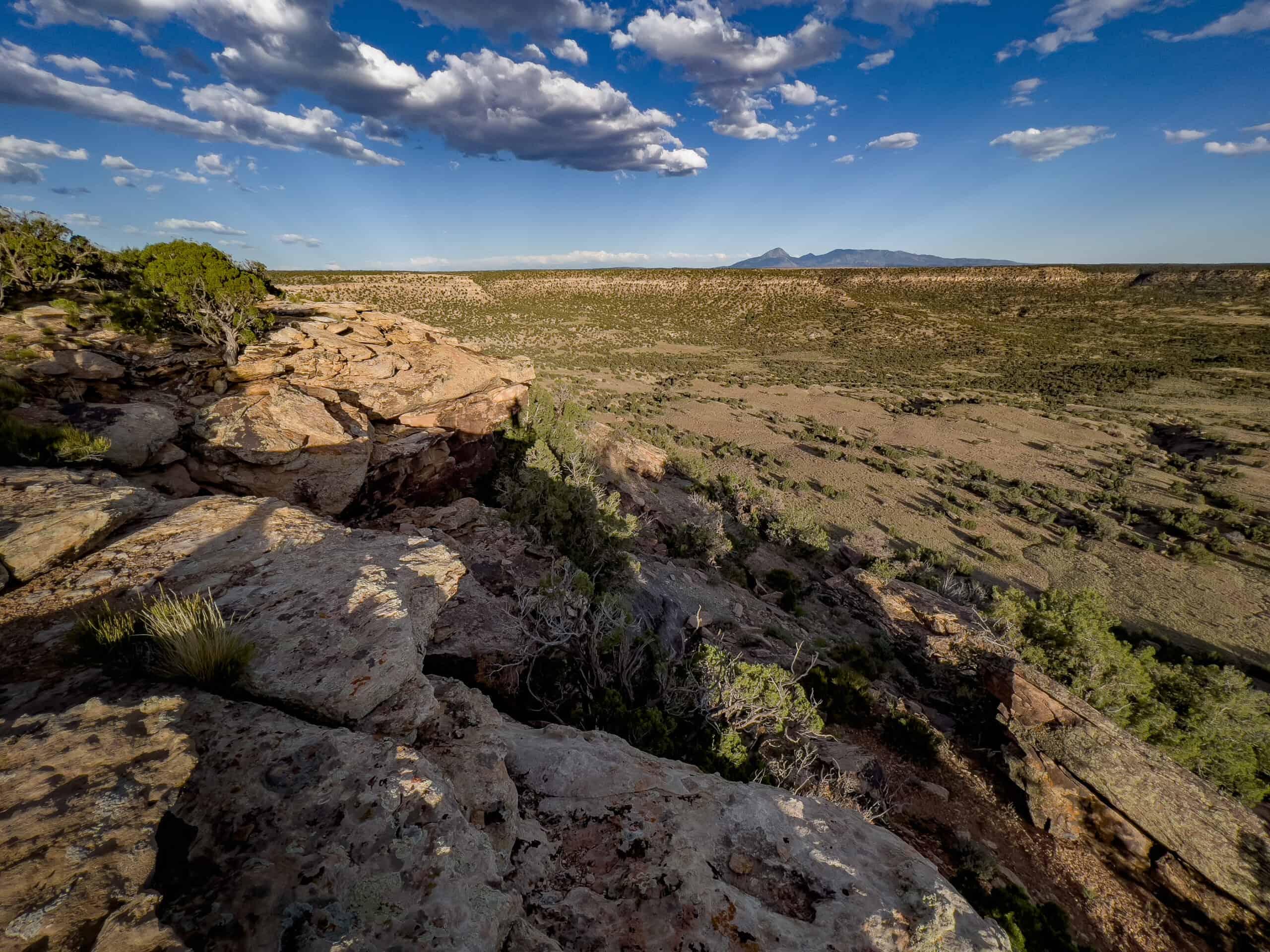 Colorado acreage bordering BLM For Sale