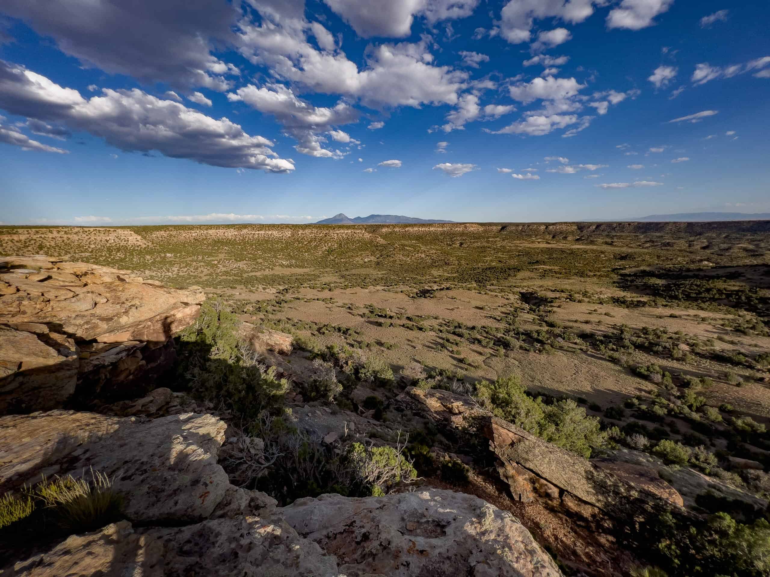 Colorado acreage bordering BLM For Sale
