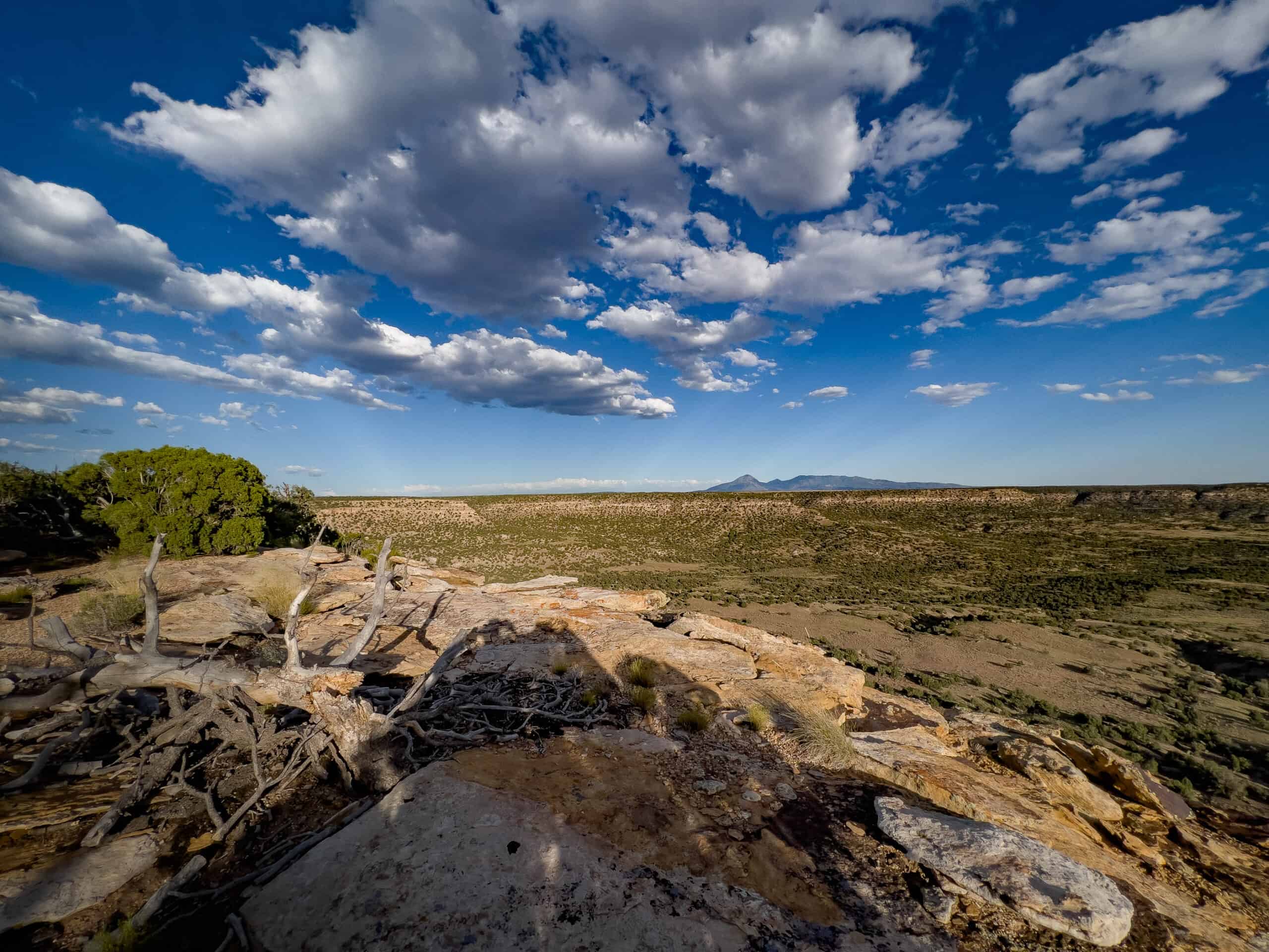 Colorado acreage bordering BLM For Sale