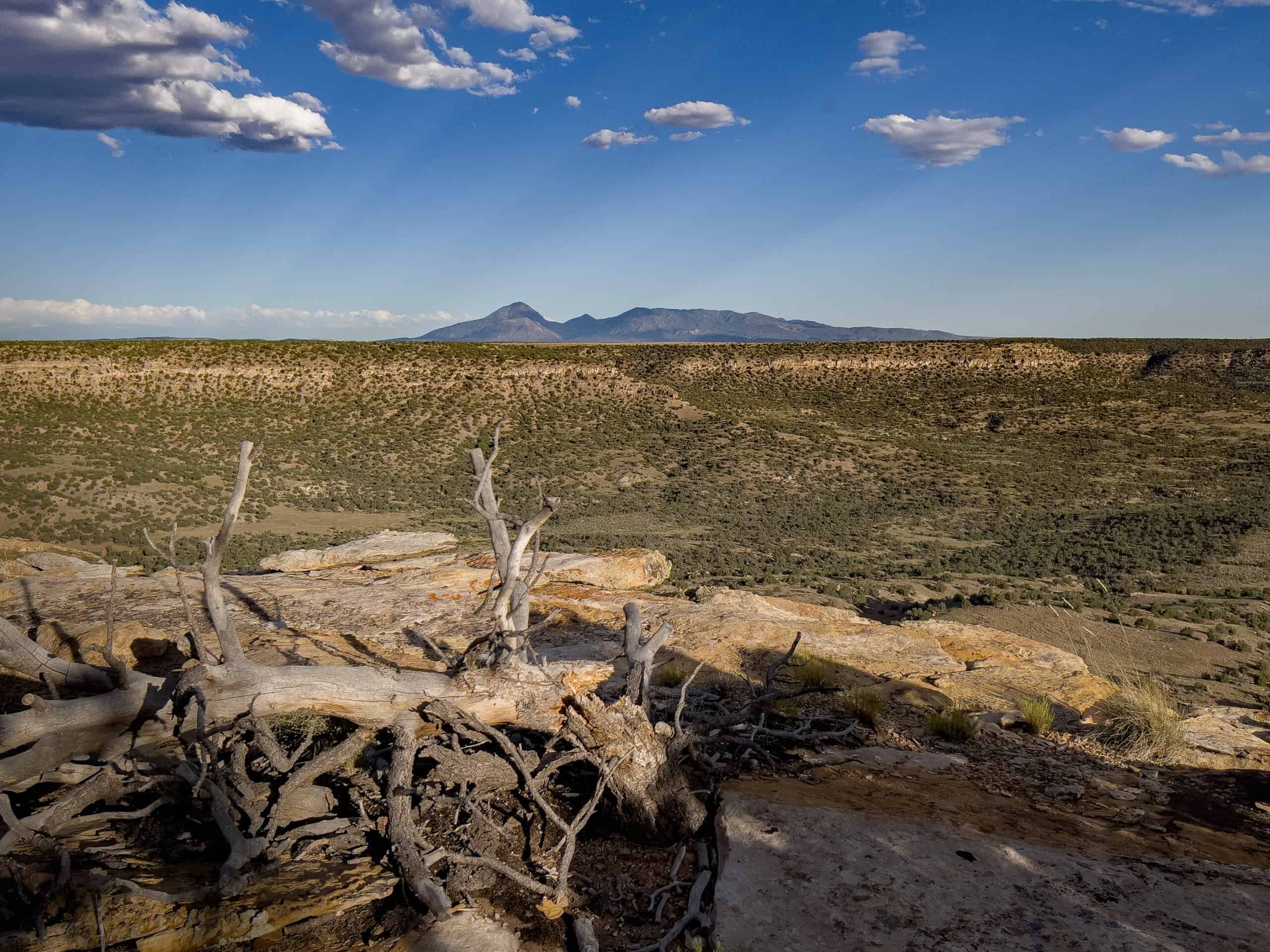 Colorado acreage bordering BLM For Sale
