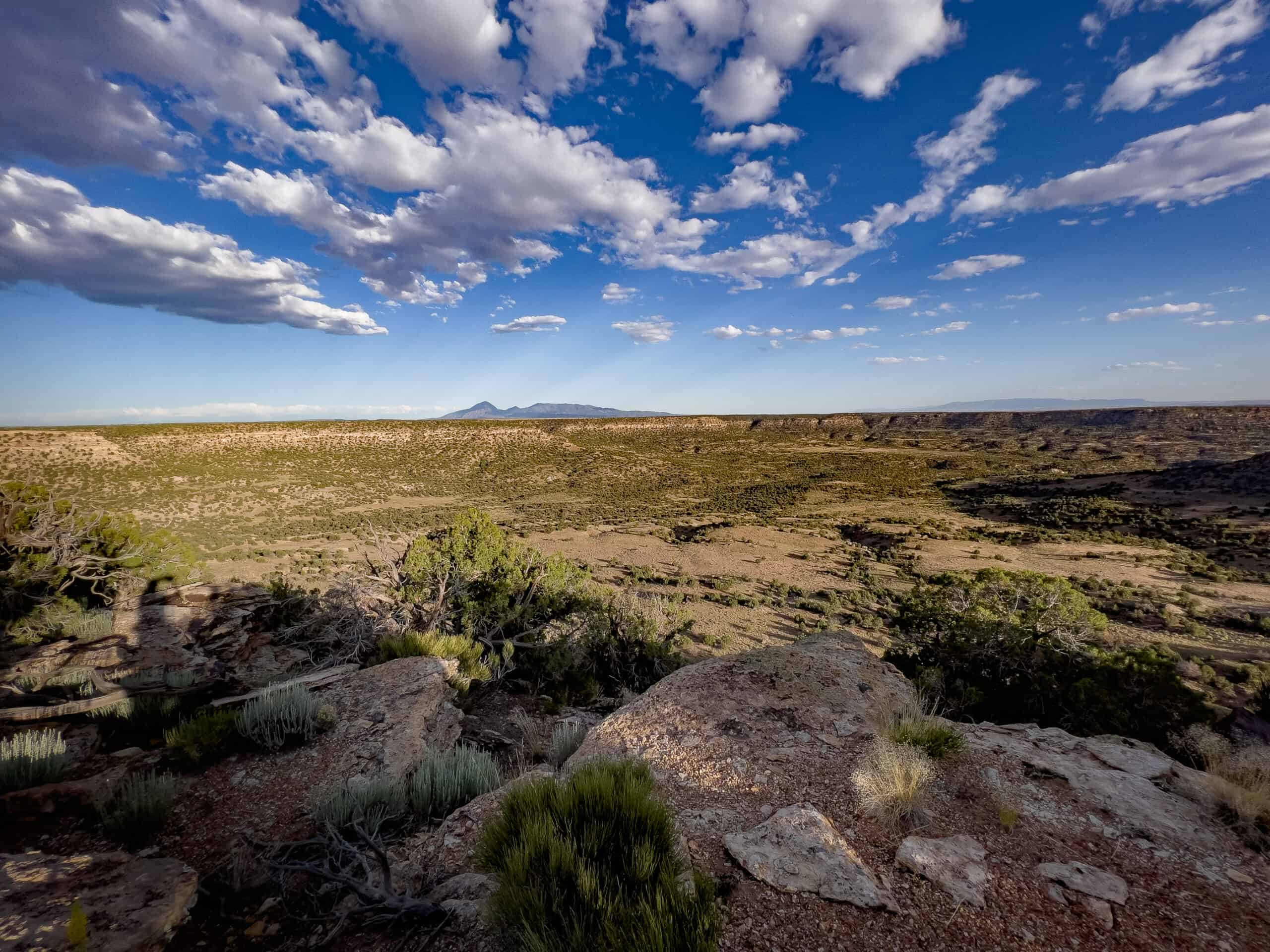Colorado acreage bordering BLM For Sale