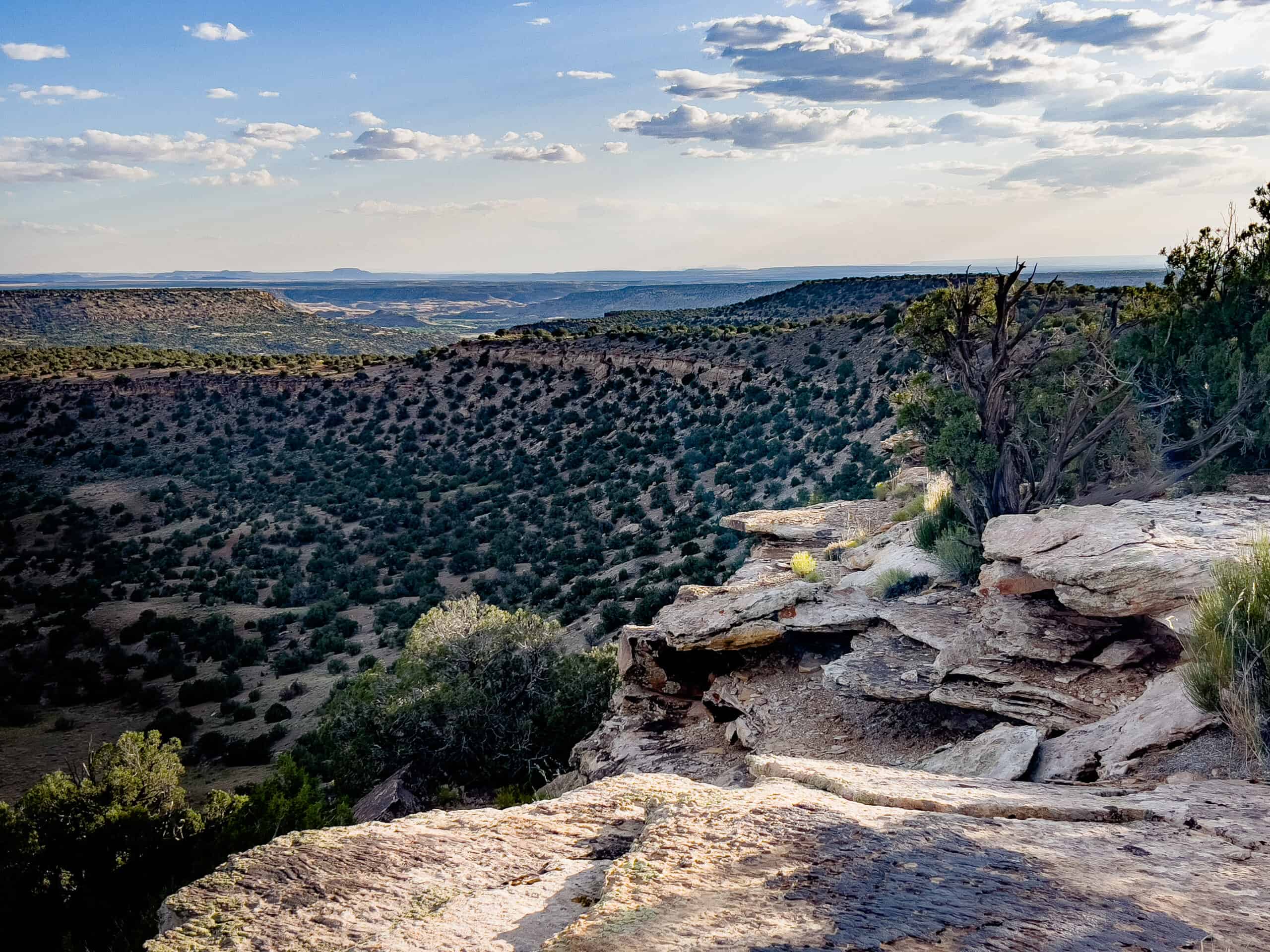 Colorado acreage bordering BLM For Sale