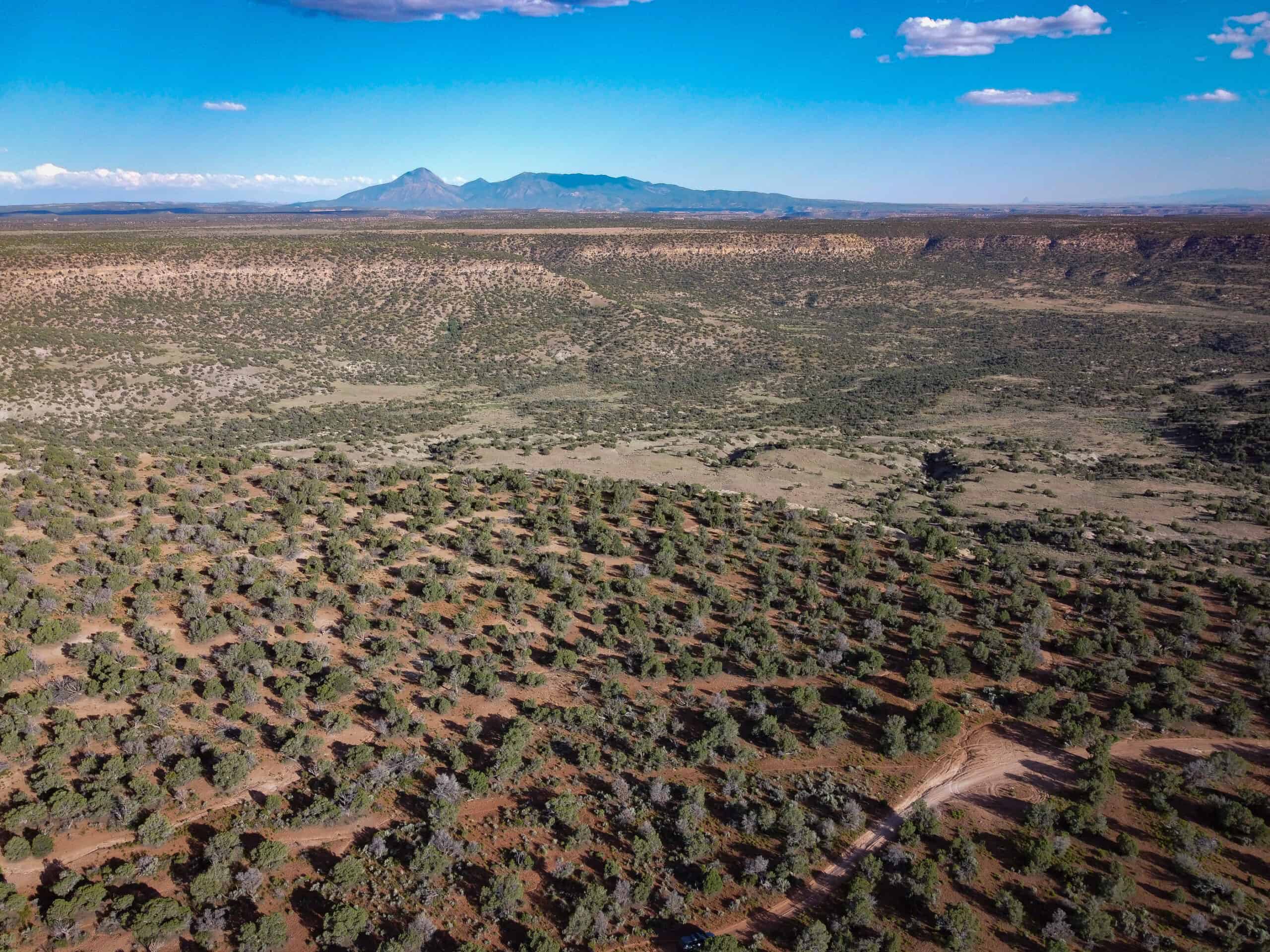 Colorado acreage bordering BLM For Sale