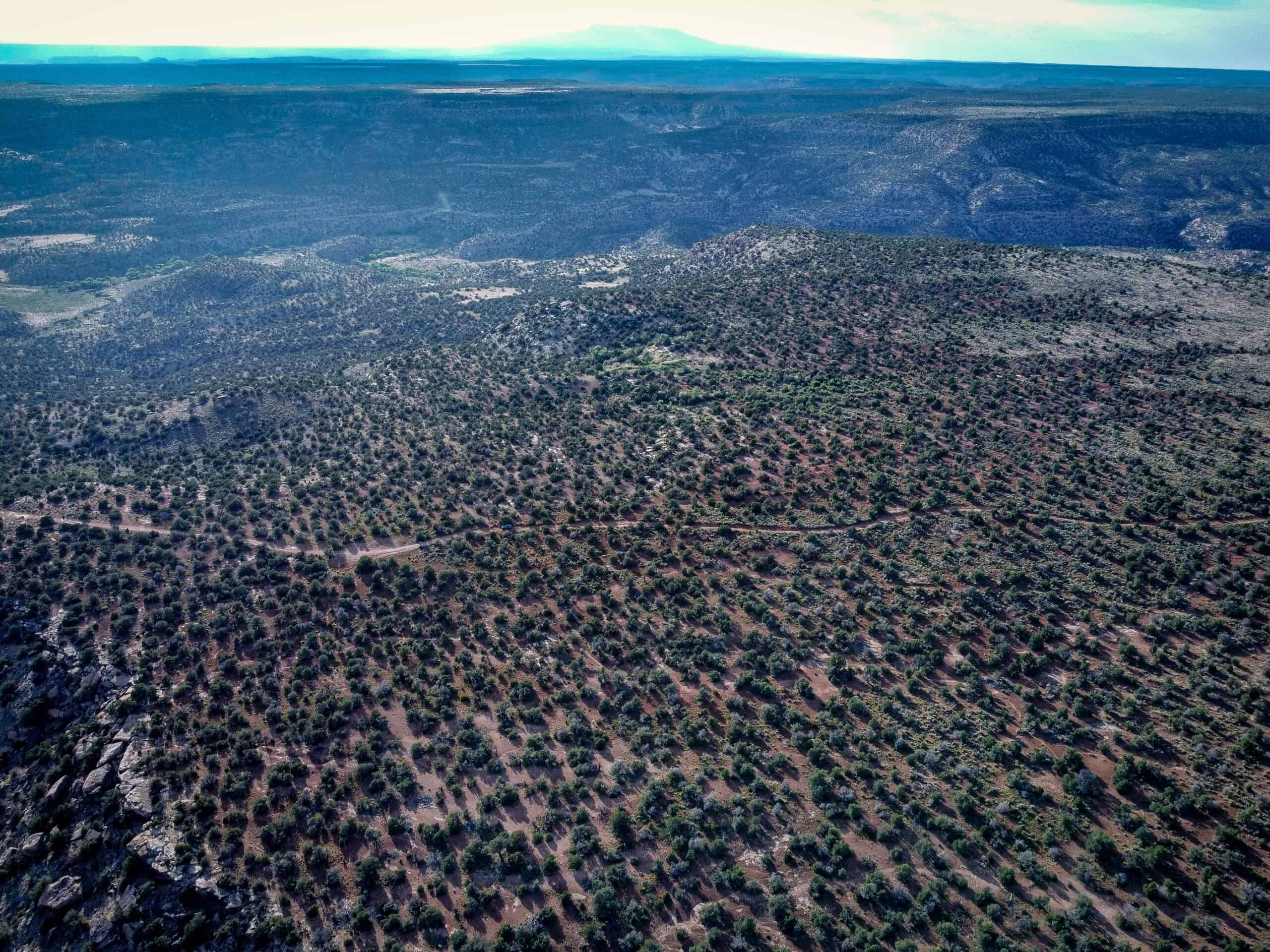 Colorado acreage bordering BLM For Sale