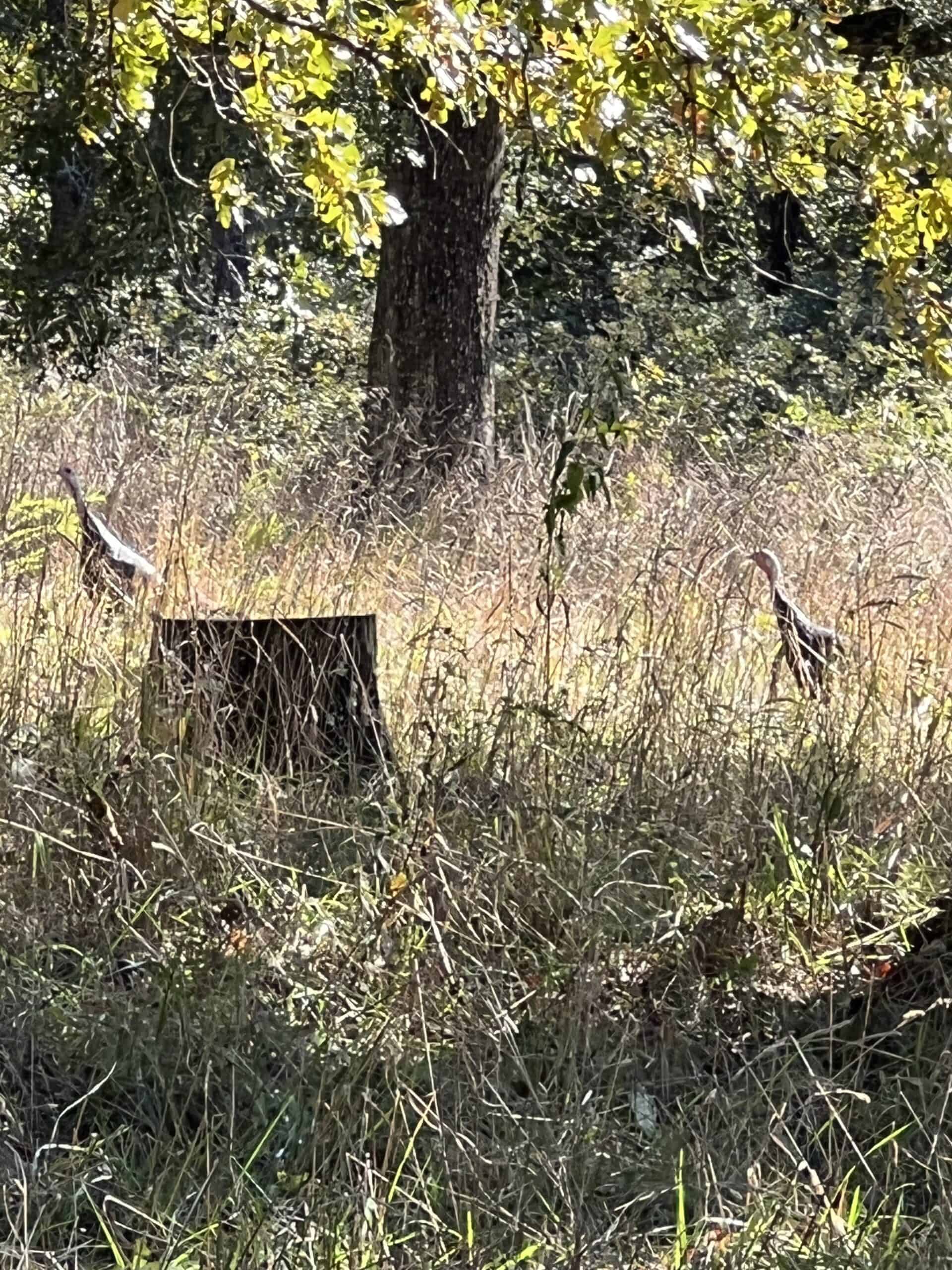 Luxury Northwest Arkansas Hunting and Recreational Retreat For Sale