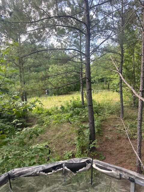 The BW Game Ranch