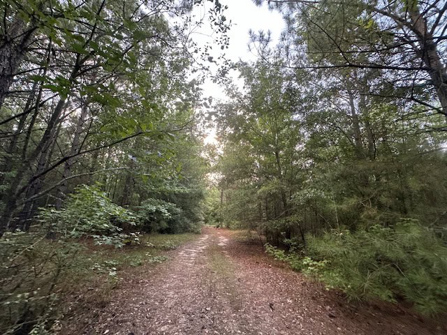 The BW Game Ranch