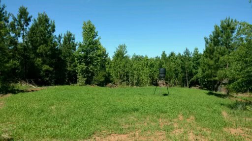 The BW Game Ranch