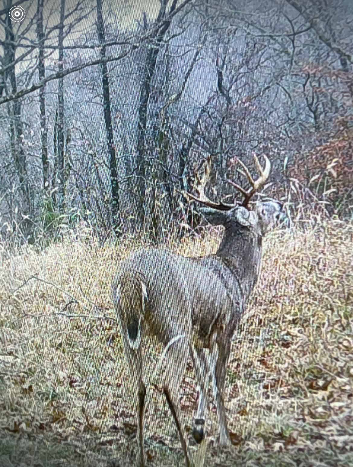 Luxury Northwest Arkansas Hunting and Recreational Retreat For Sale