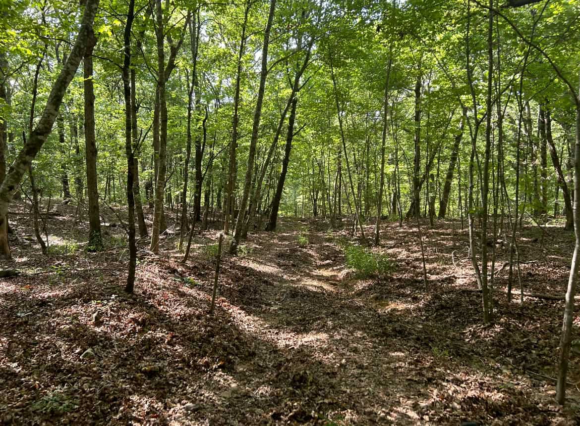 Luxury Northwest Arkansas Hunting and Recreational Retreat For Sale