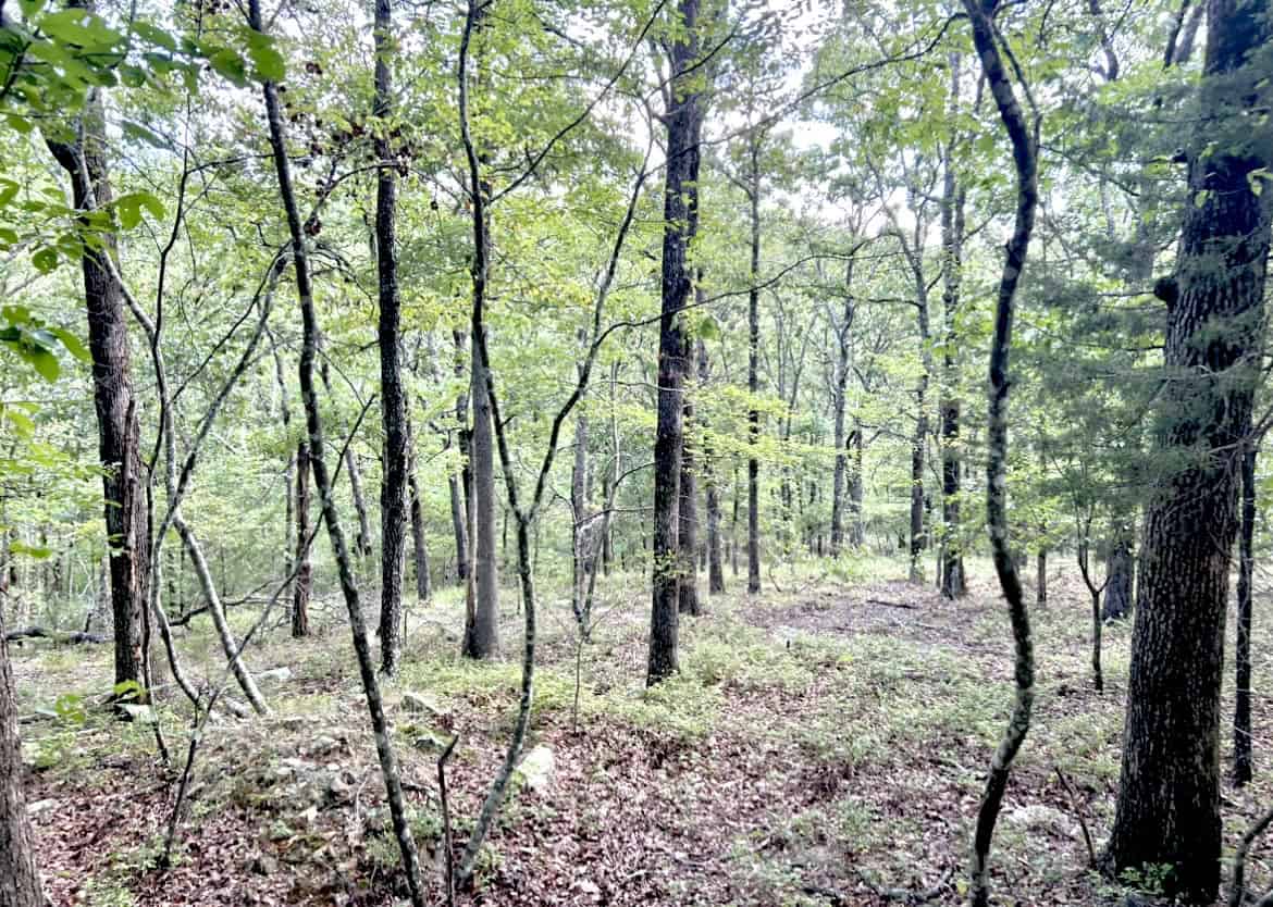 Luxury Northwest Arkansas Hunting and Recreational Retreat For Sale