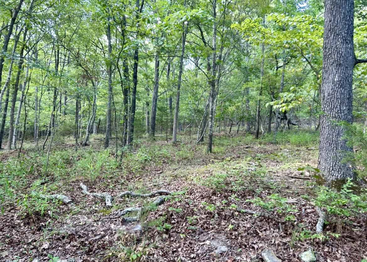 Luxury Northwest Arkansas Hunting and Recreational Retreat For Sale