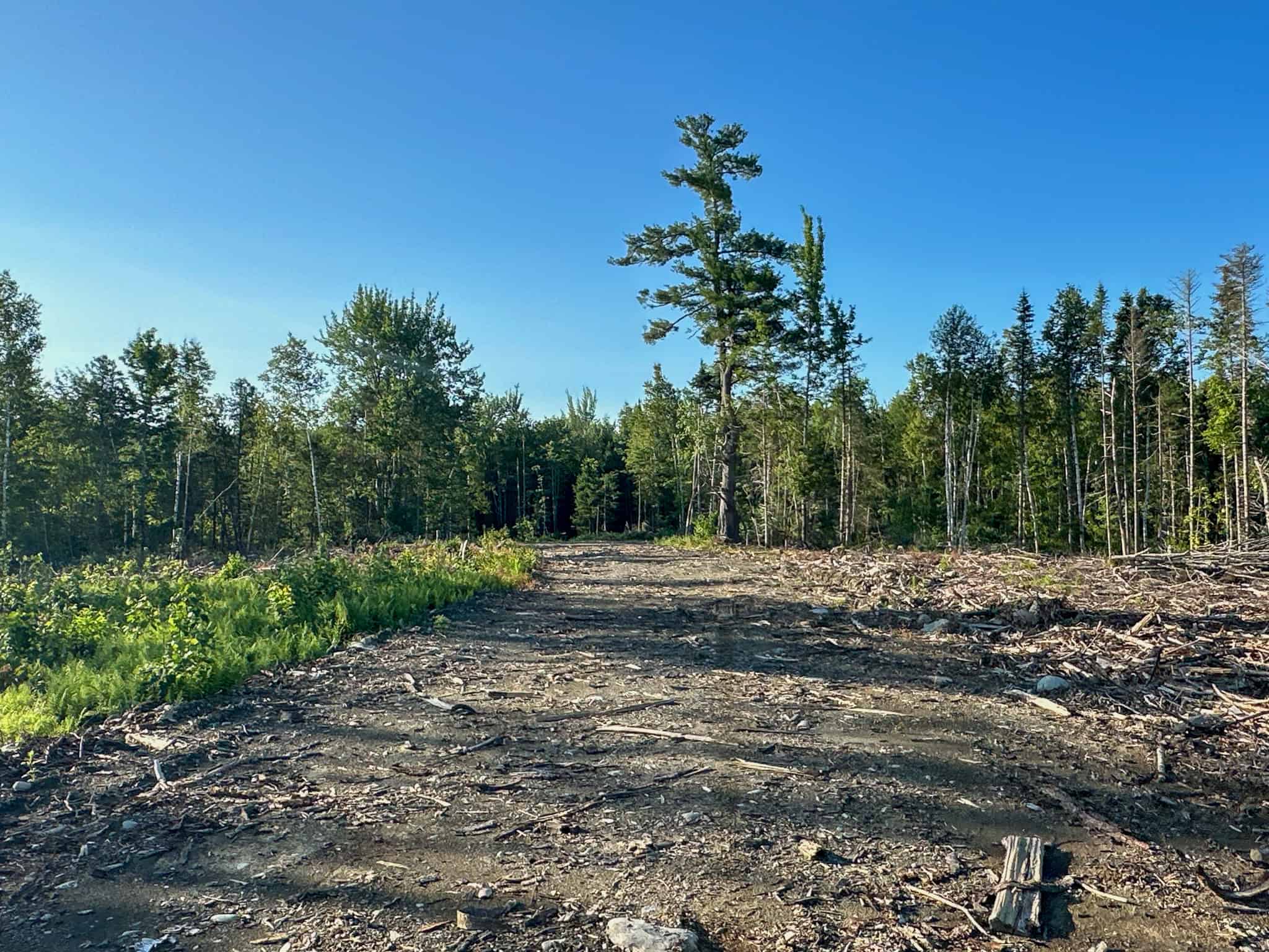 Large Year Round Accessible Maine Parcel