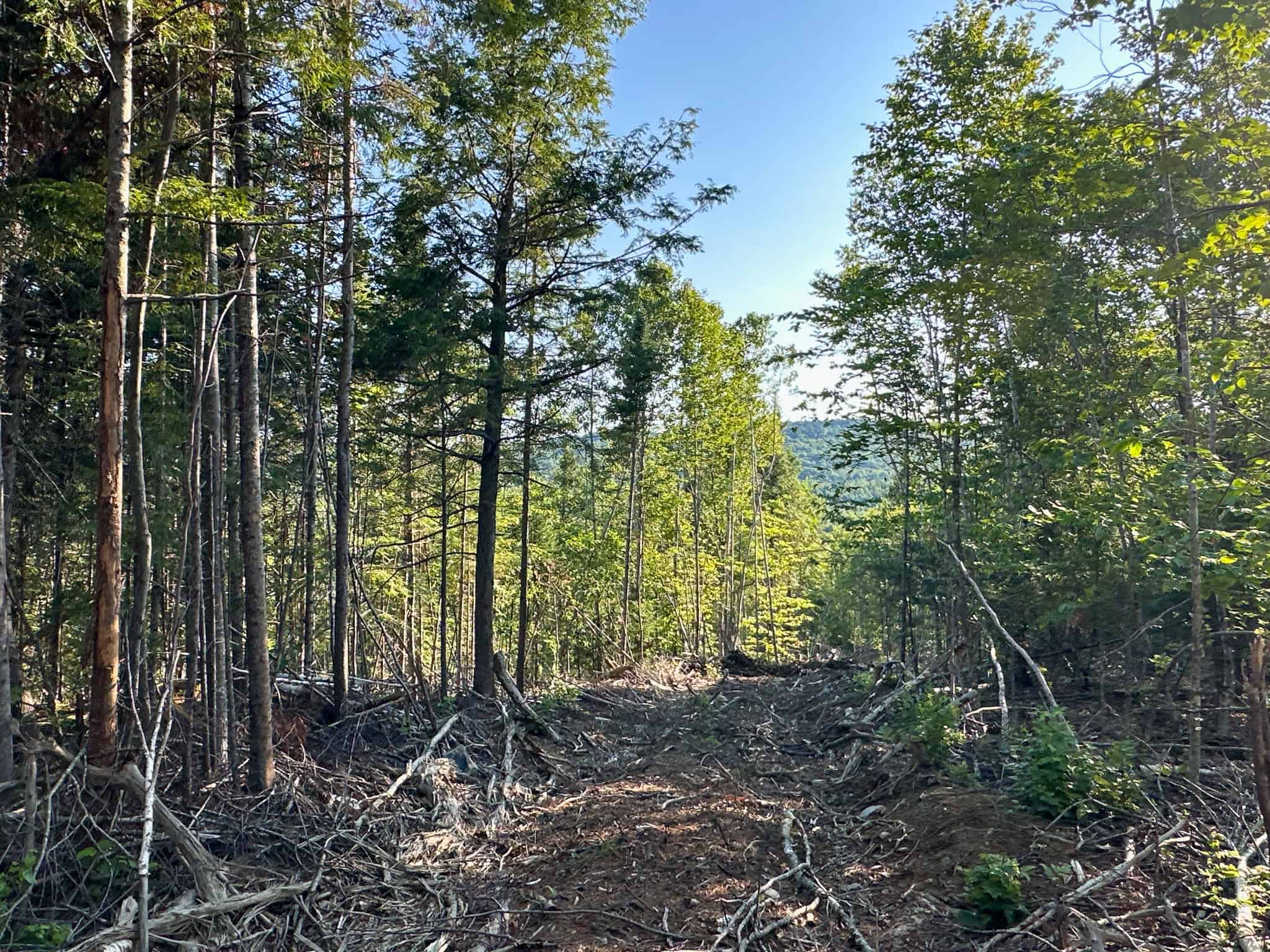 Large Year Round Accessible Maine Parcel