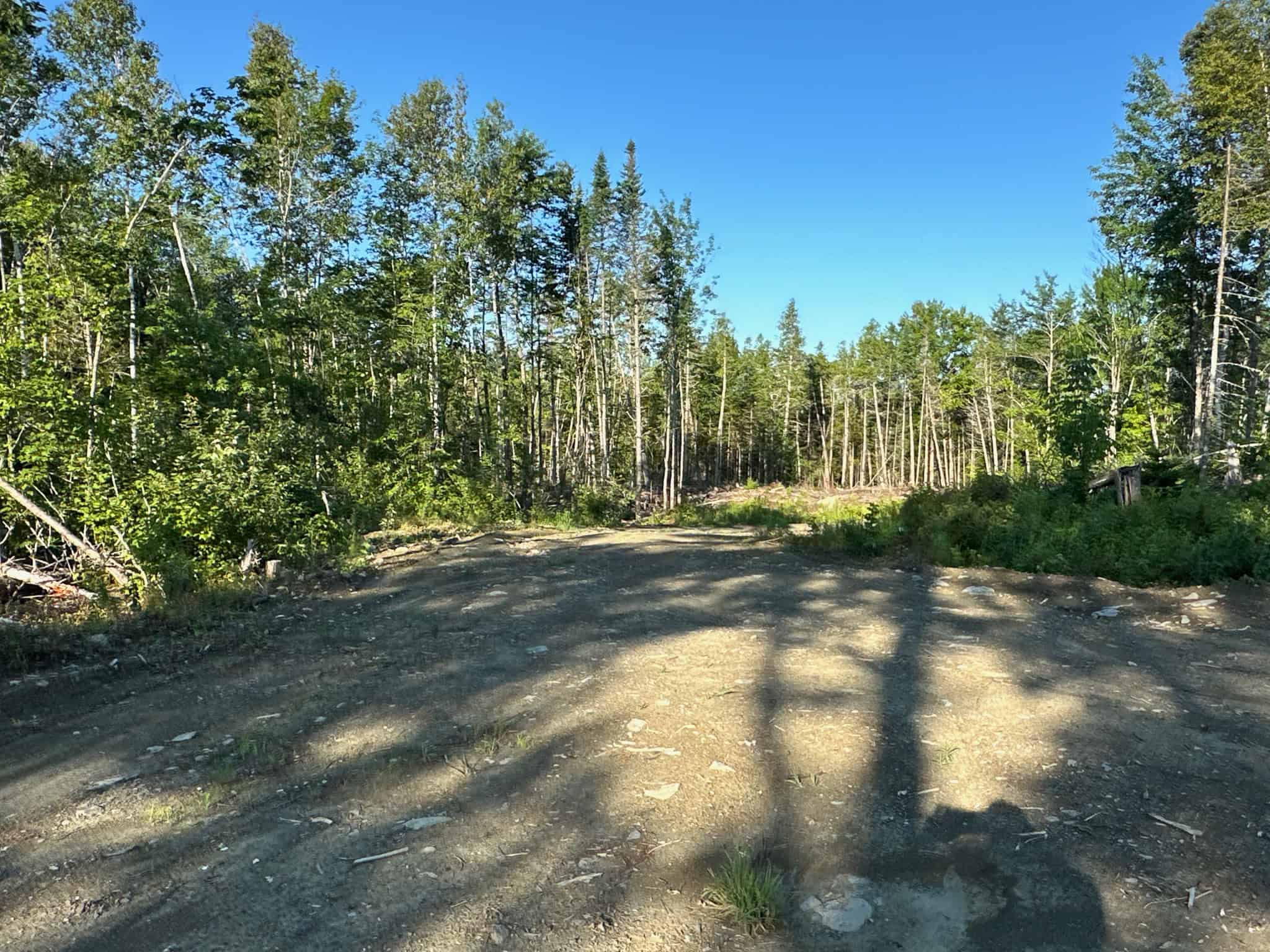 Large Year Round Accessible Maine Parcel