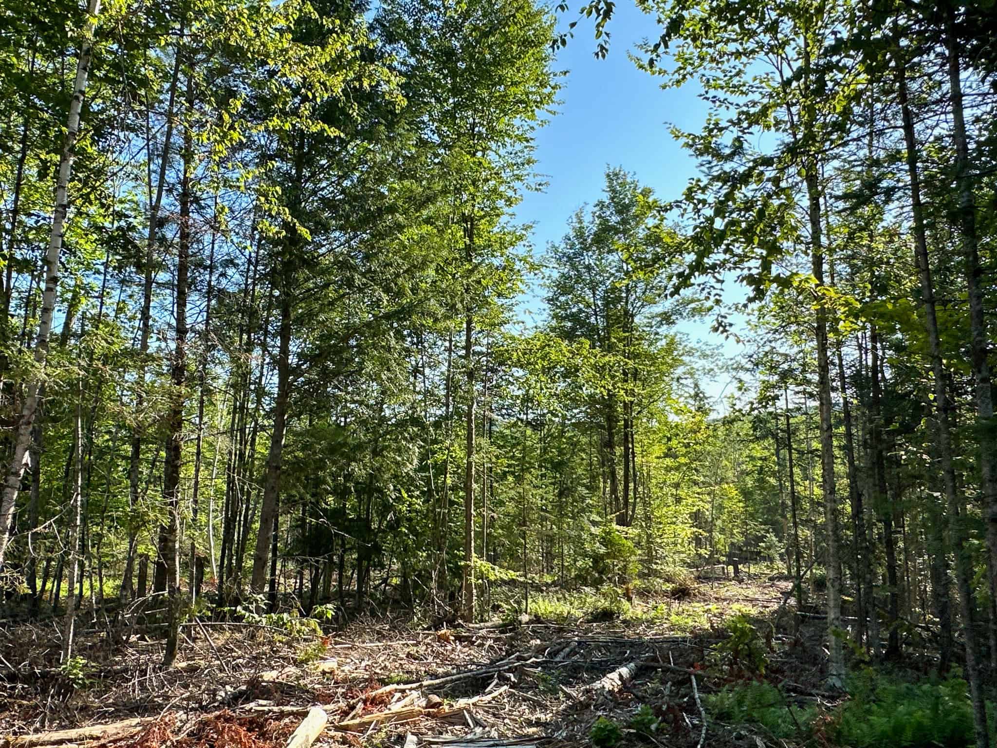Large Year Round Accessible Maine Parcel