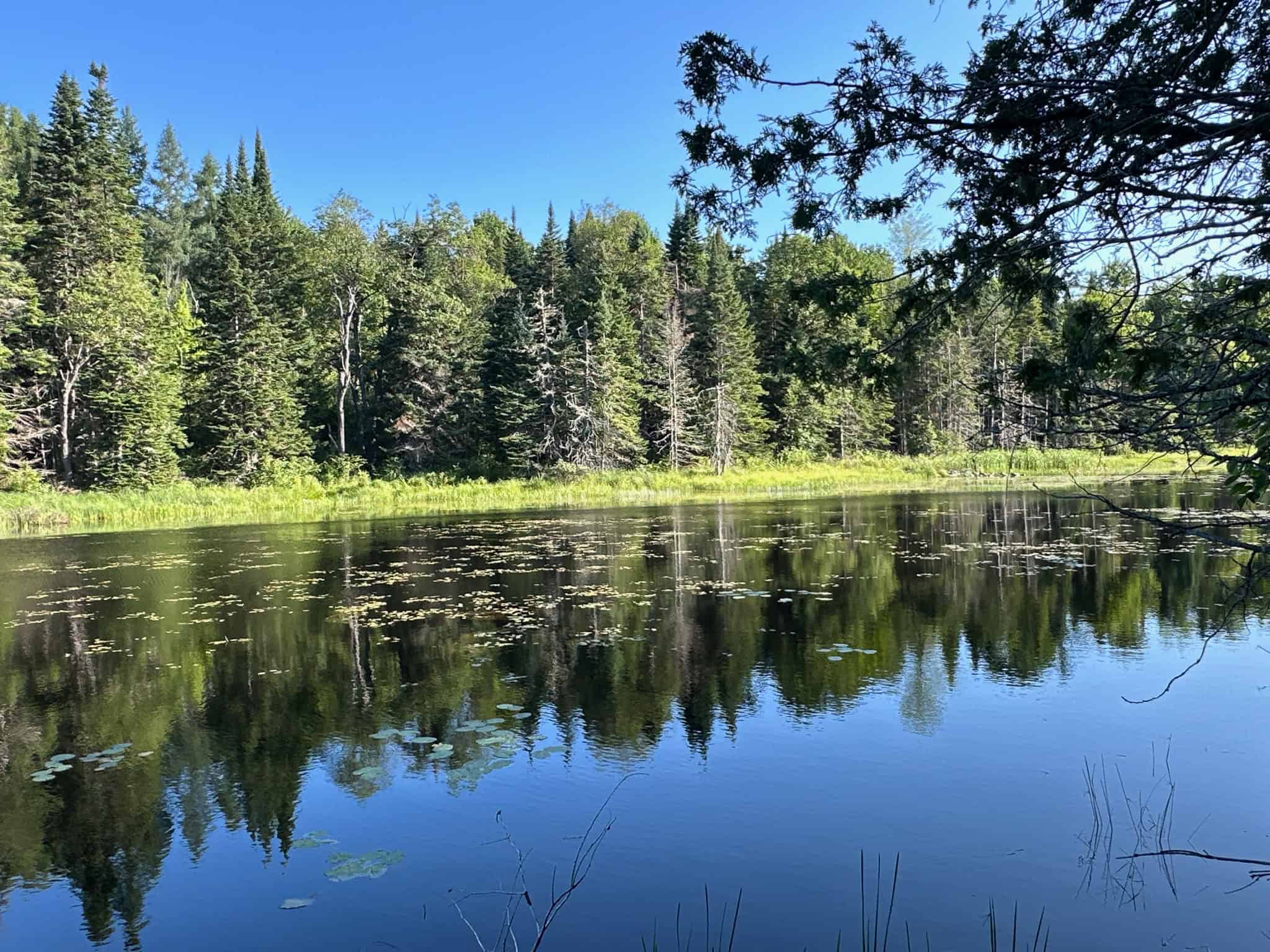 Large Year Round Accessible Maine Parcel