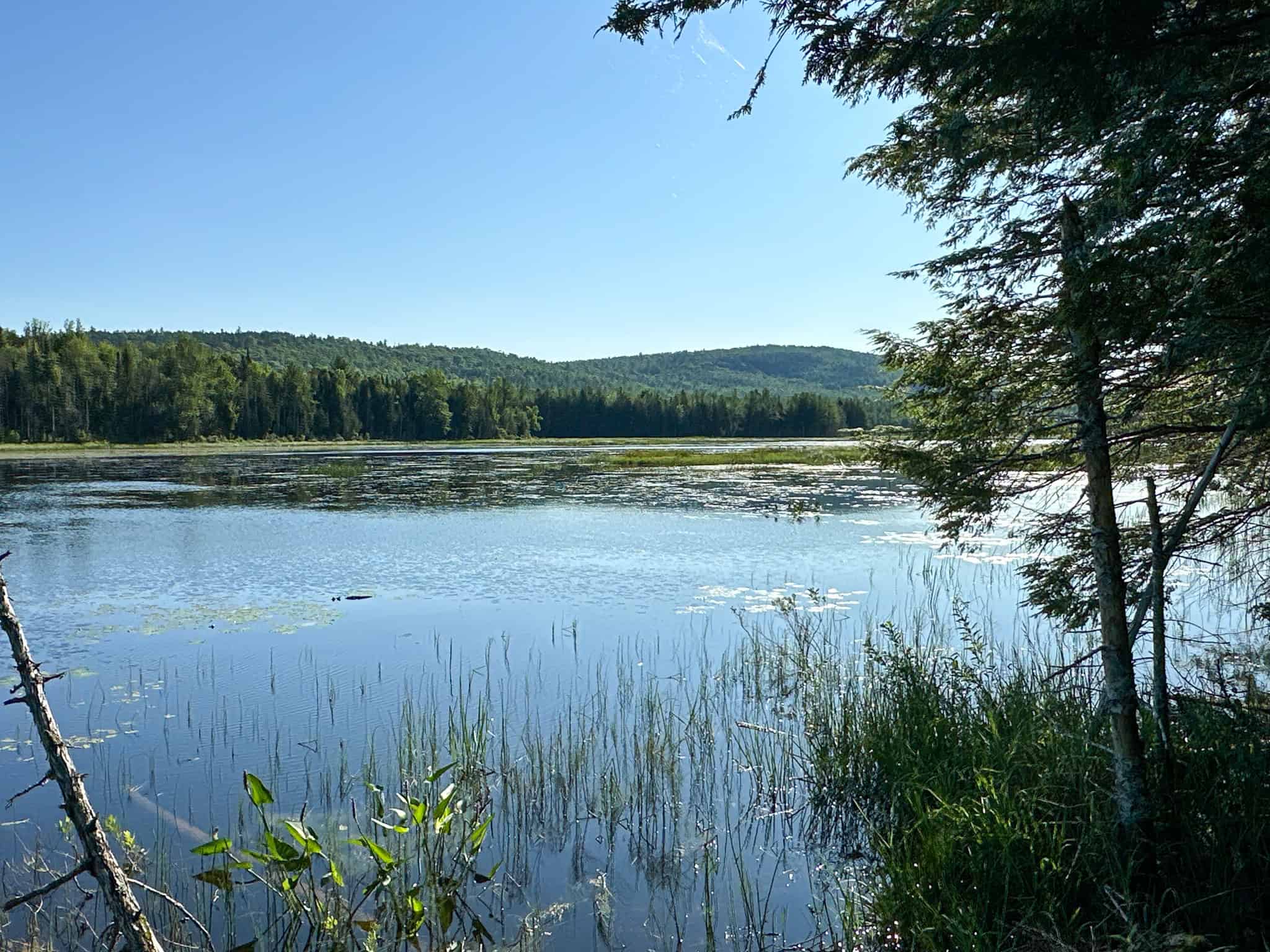 Large Year Round Accessible Maine Parcel