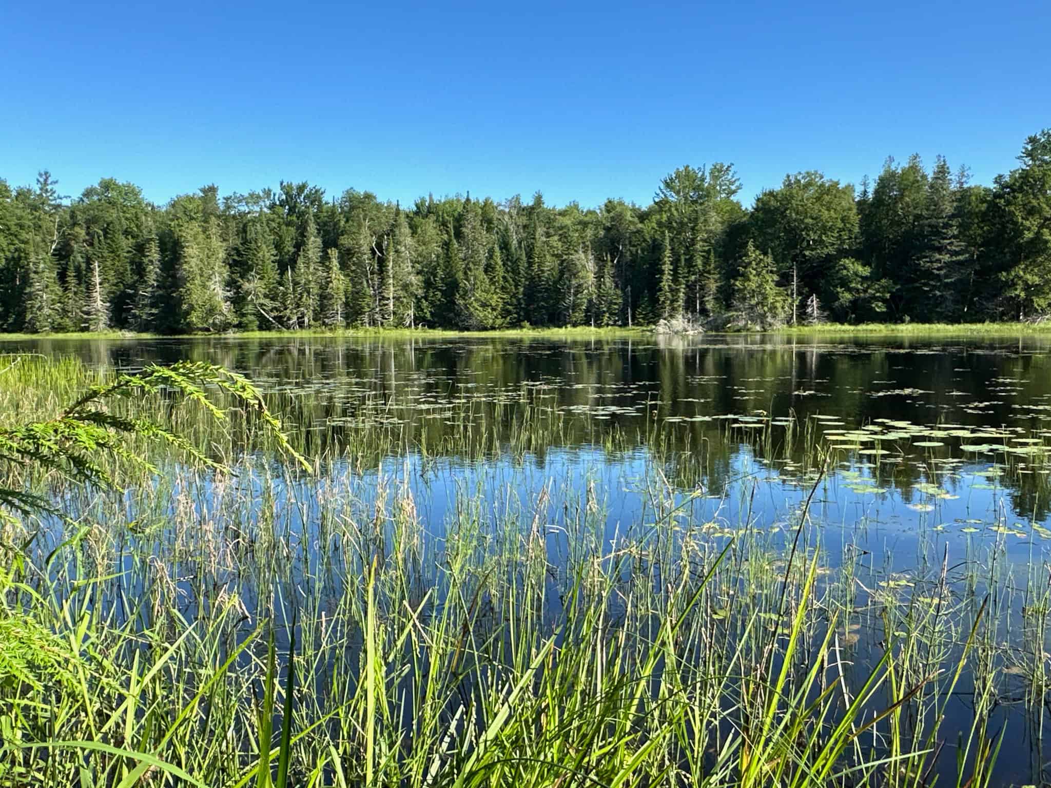 Large Year Round Accessible Maine Parcel
