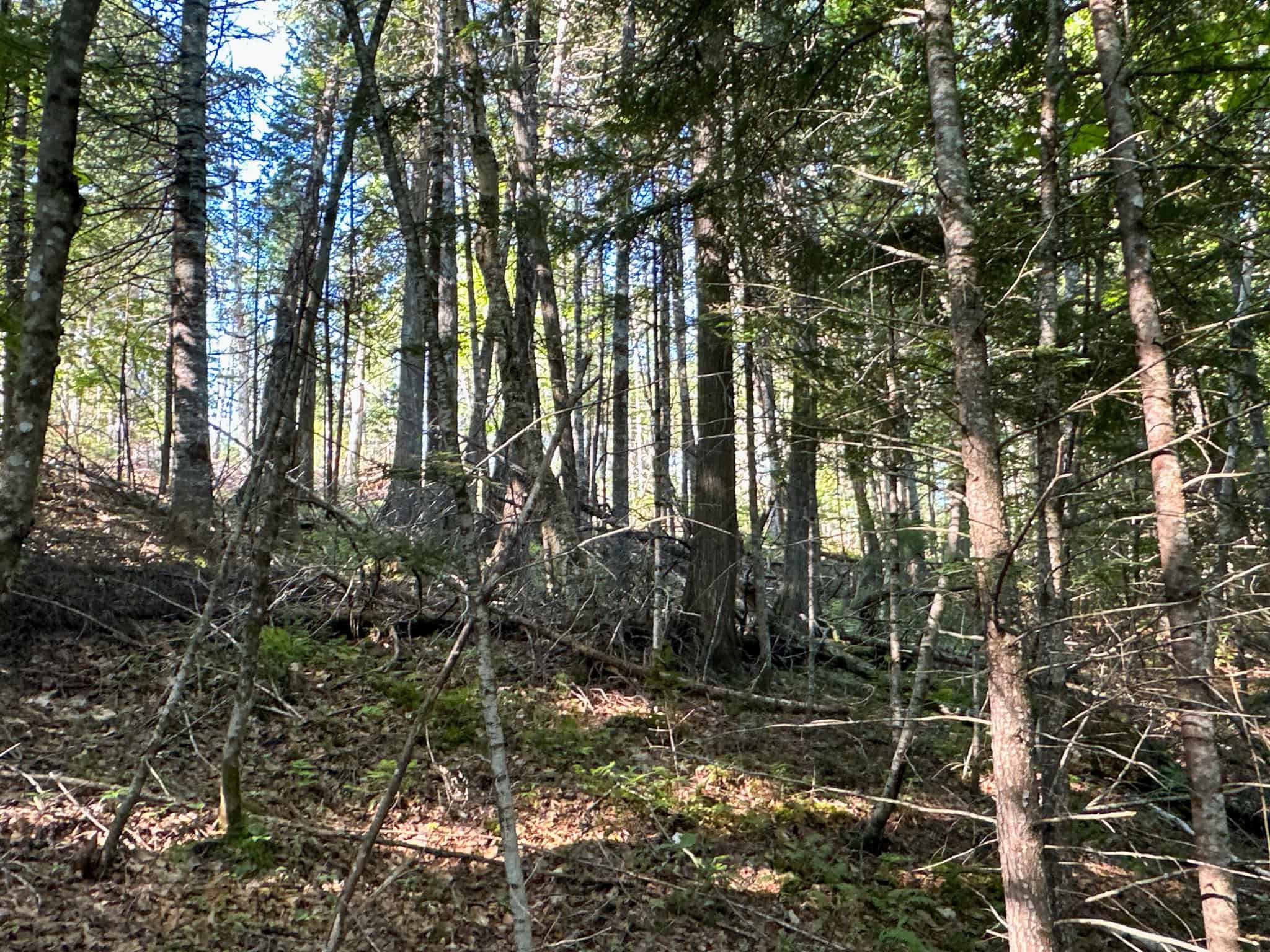 Large Year Round Accessible Maine Parcel