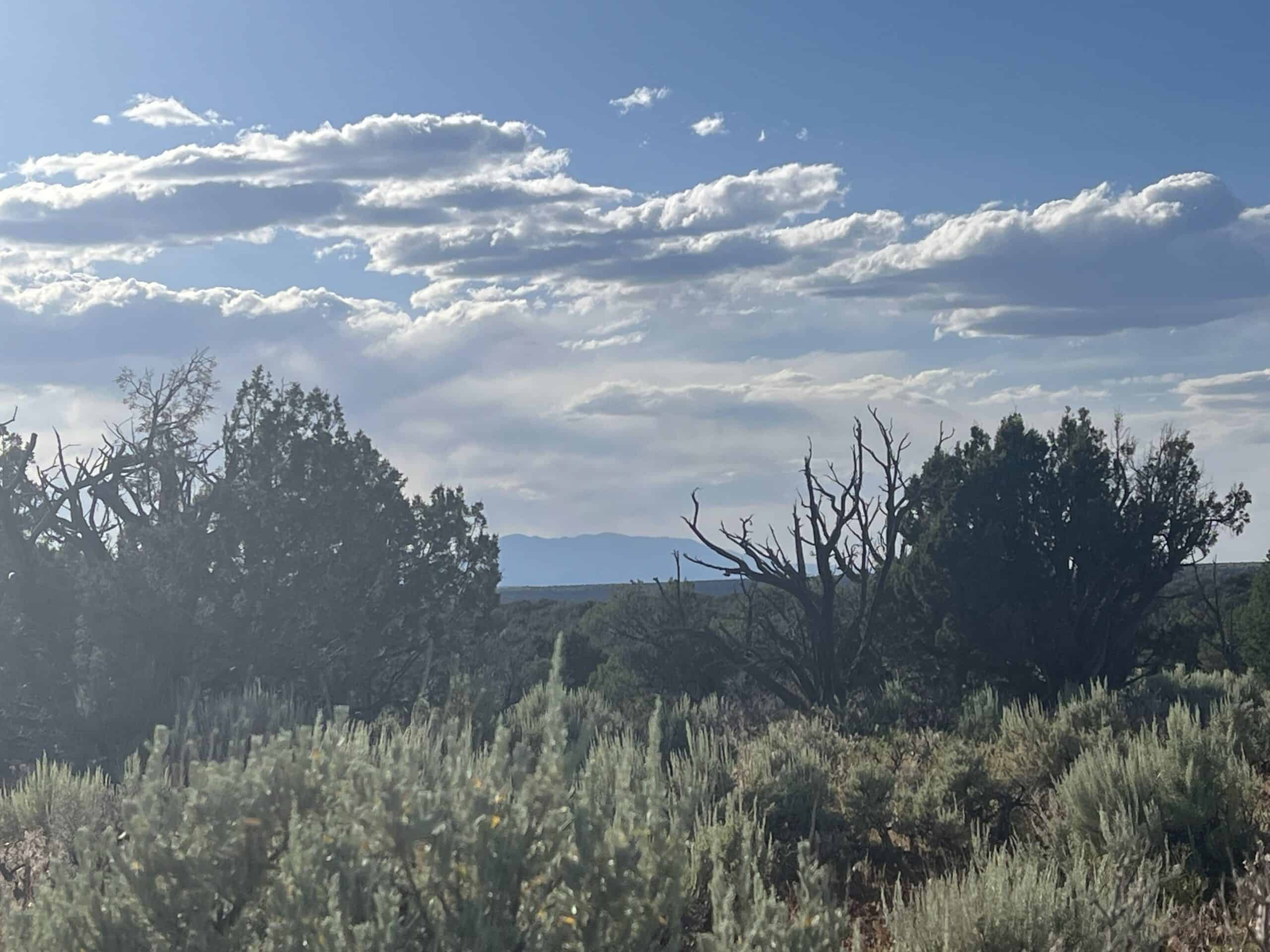 Colorado acreage bordering BLM For Sale