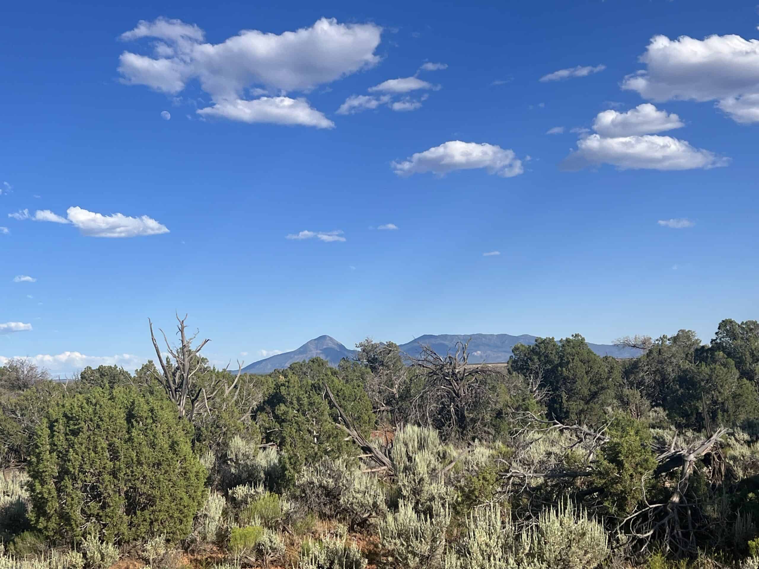 Colorado acreage bordering BLM For Sale