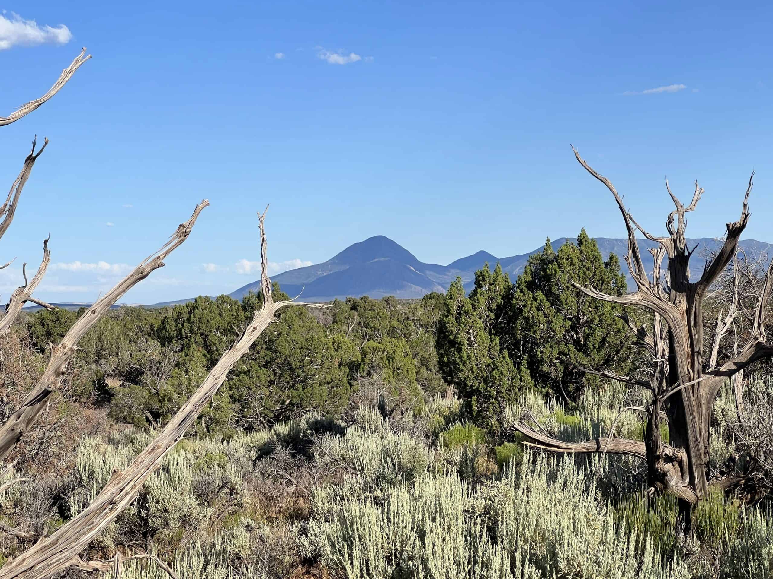 Colorado acreage bordering BLM For Sale