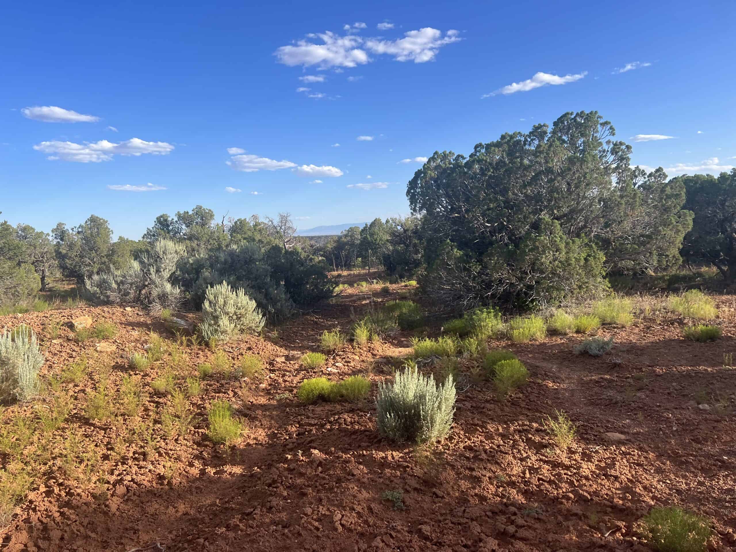 Colorado acreage bordering BLM For Sale