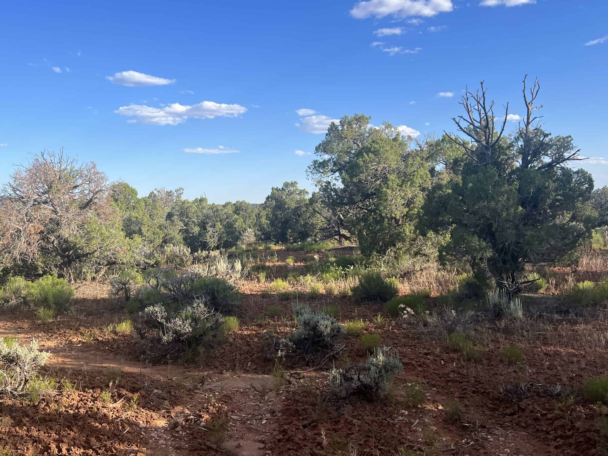Colorado acreage bordering BLM For Sale